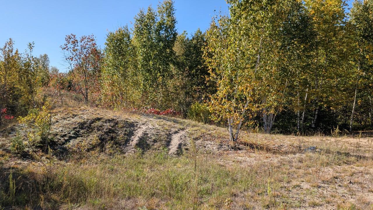 6800 Highway 53 Property Photo 16