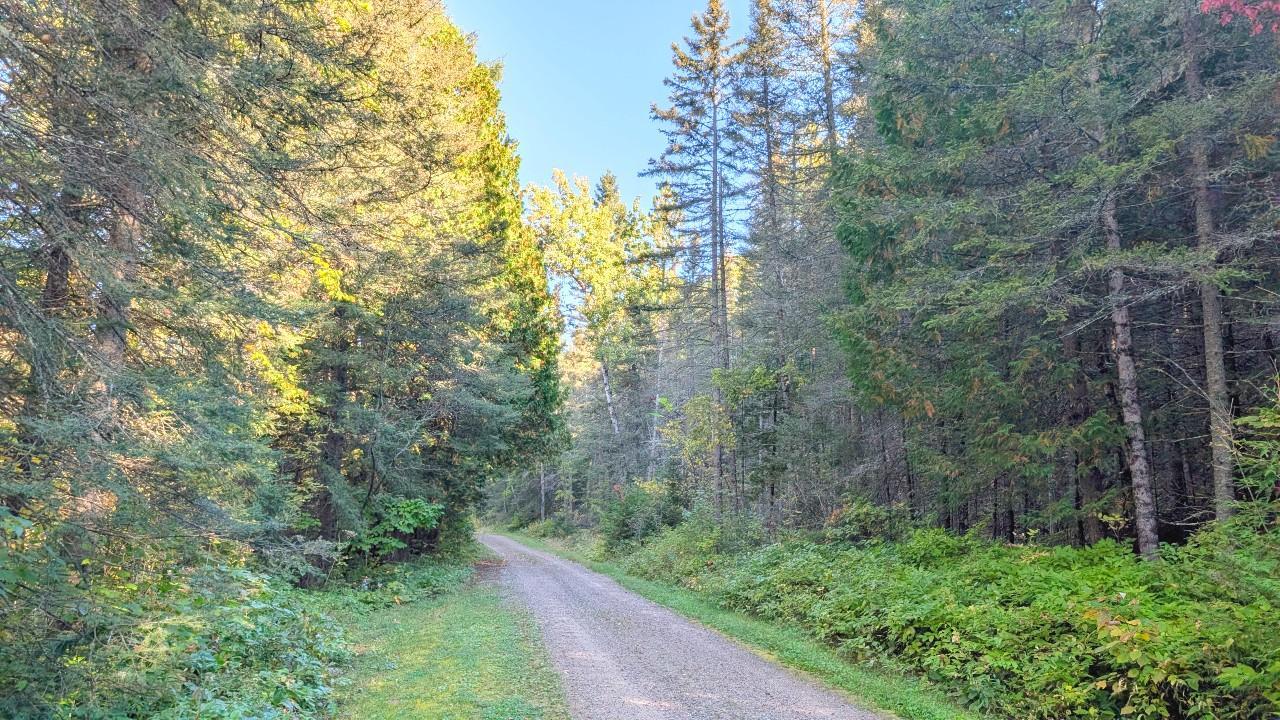6800 Highway 53 Property Photo 22