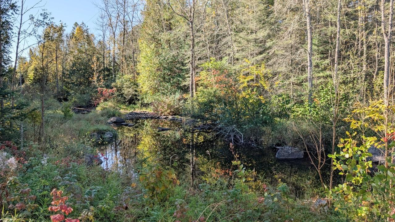 6800 Highway 53 Property Photo 23