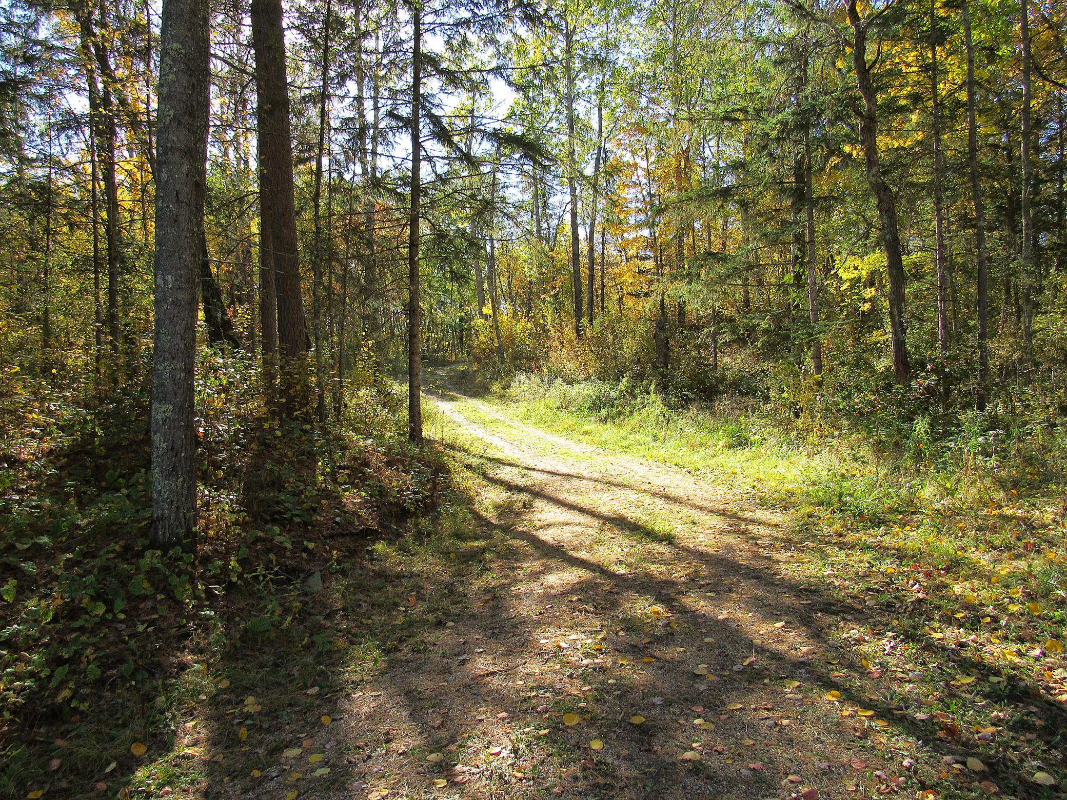 Xxx Us 71 Property Photo 7