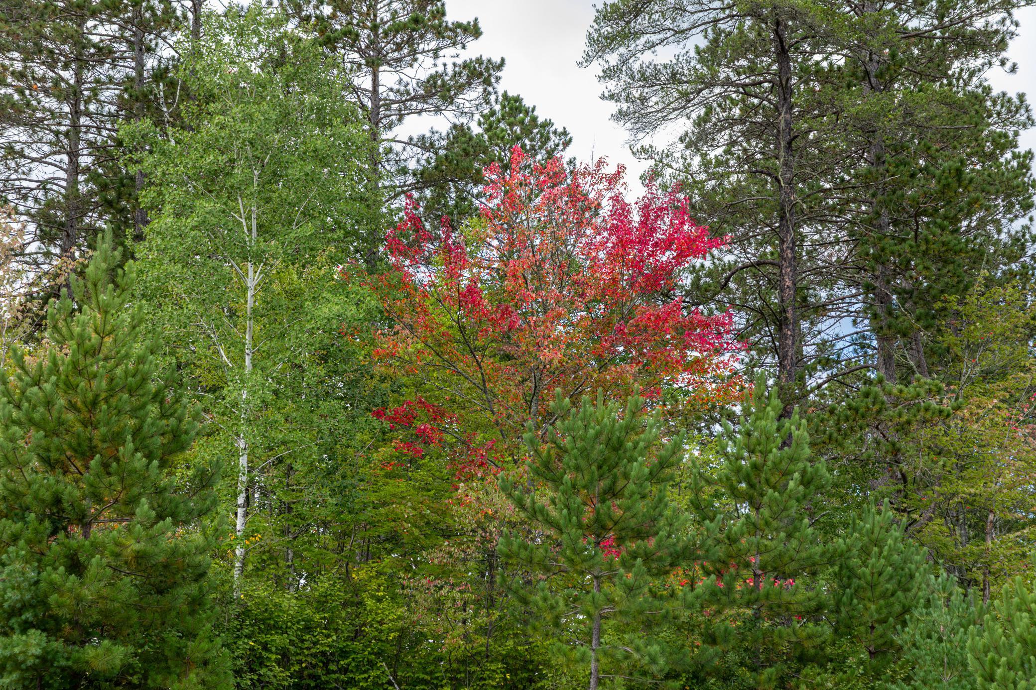 6249 Sunset Circle Property Photo 2