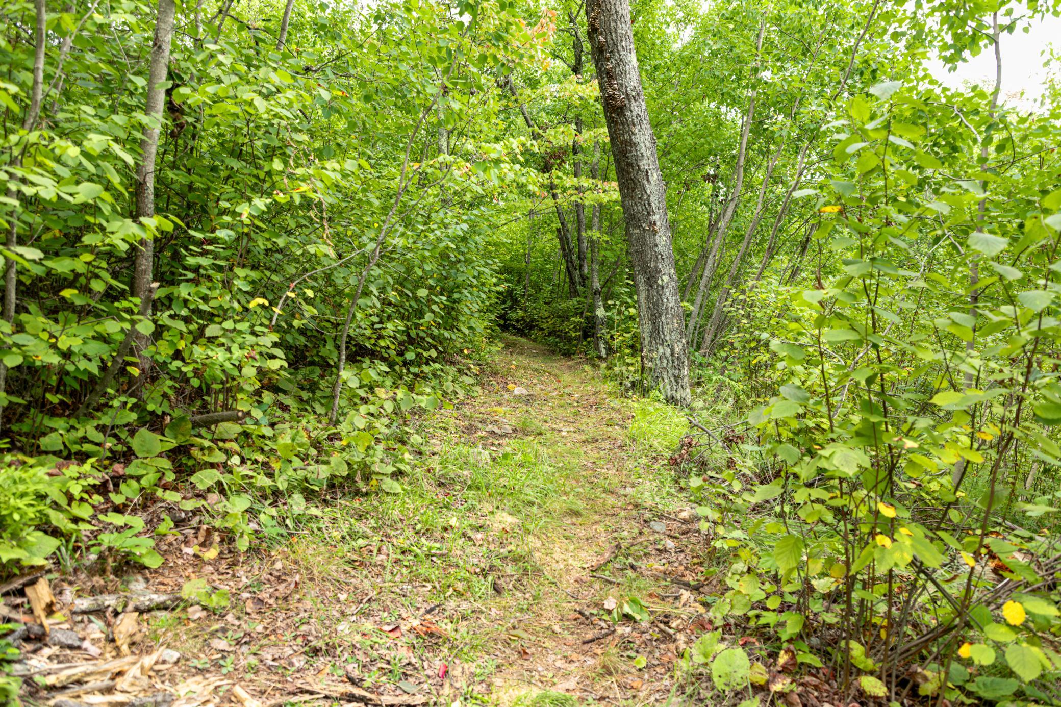 6249 Sunset Circle Property Photo 34