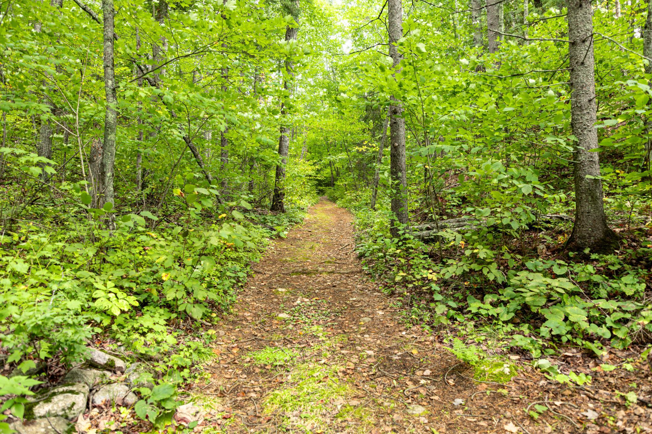 6249 Sunset Circle Property Photo 37
