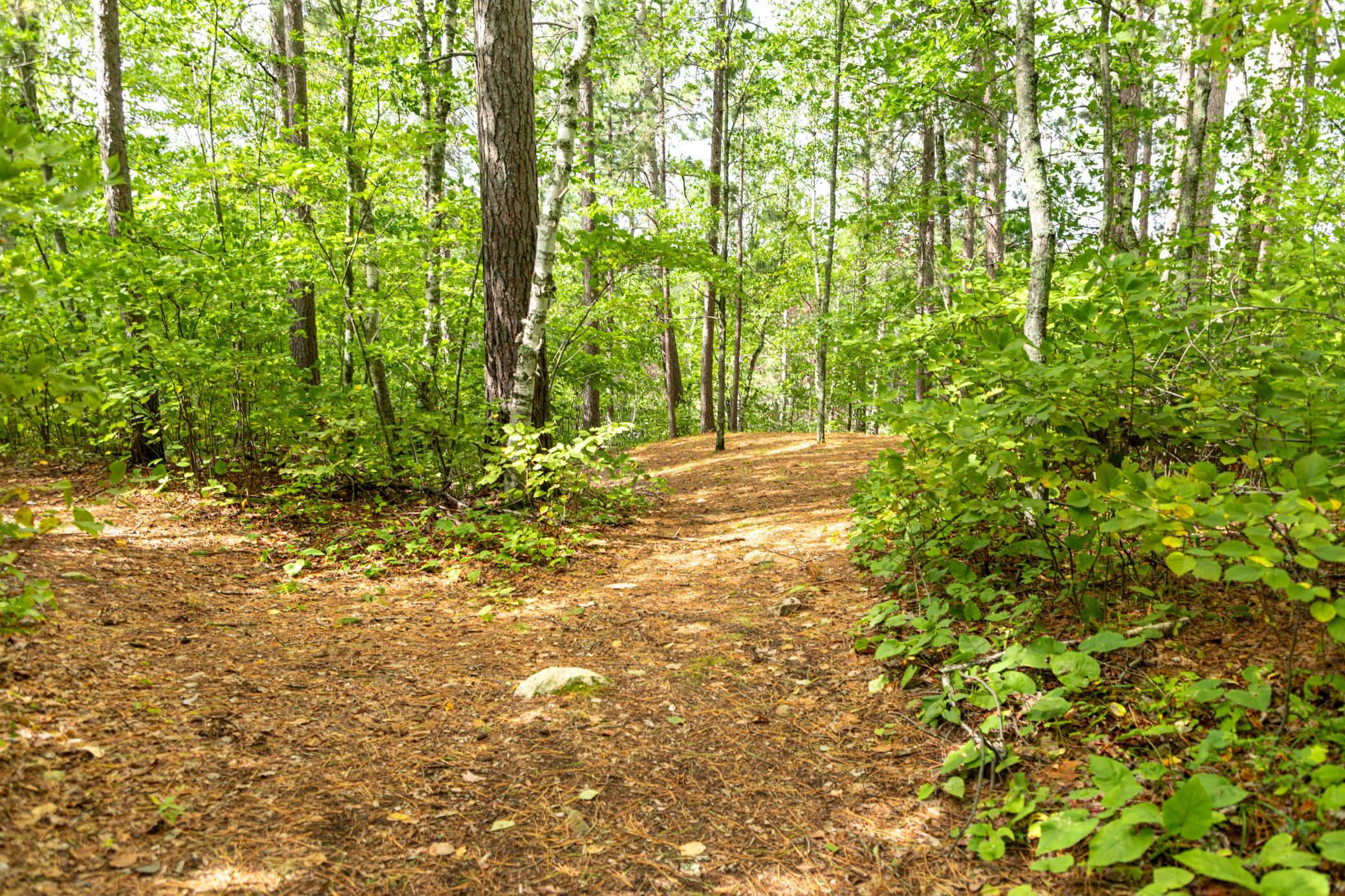 6249 Sunset Circle Property Photo 39