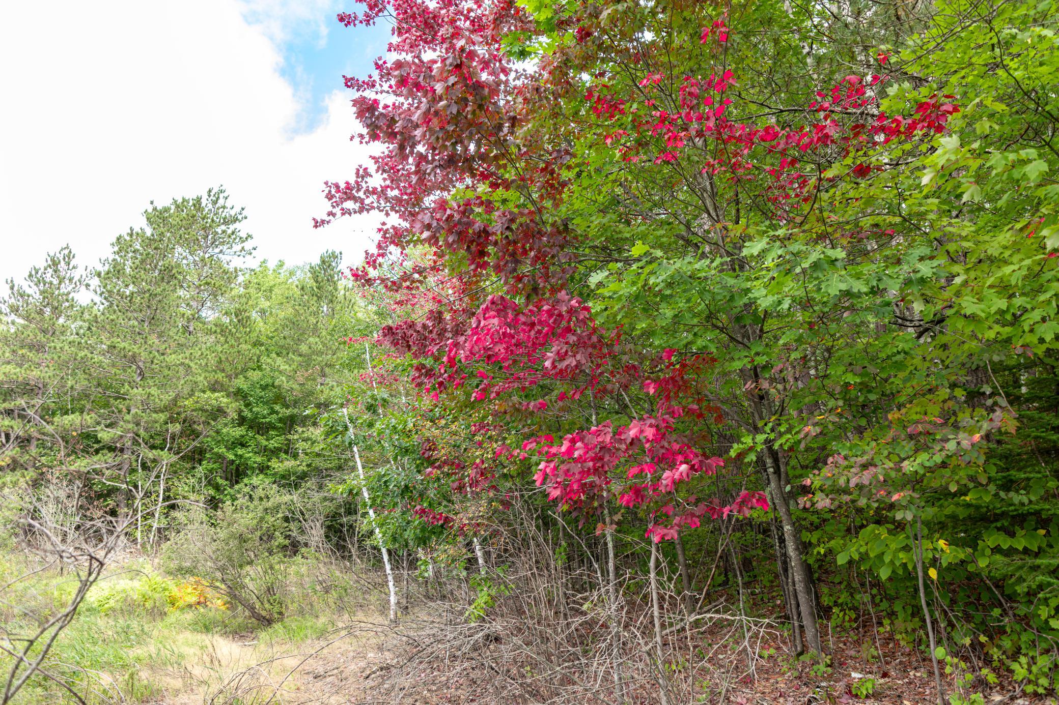 6249 Sunset Circle Property Photo 42