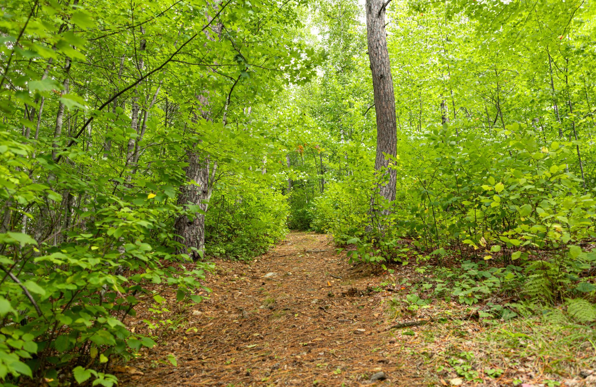 6249 Sunset Circle Property Photo 47
