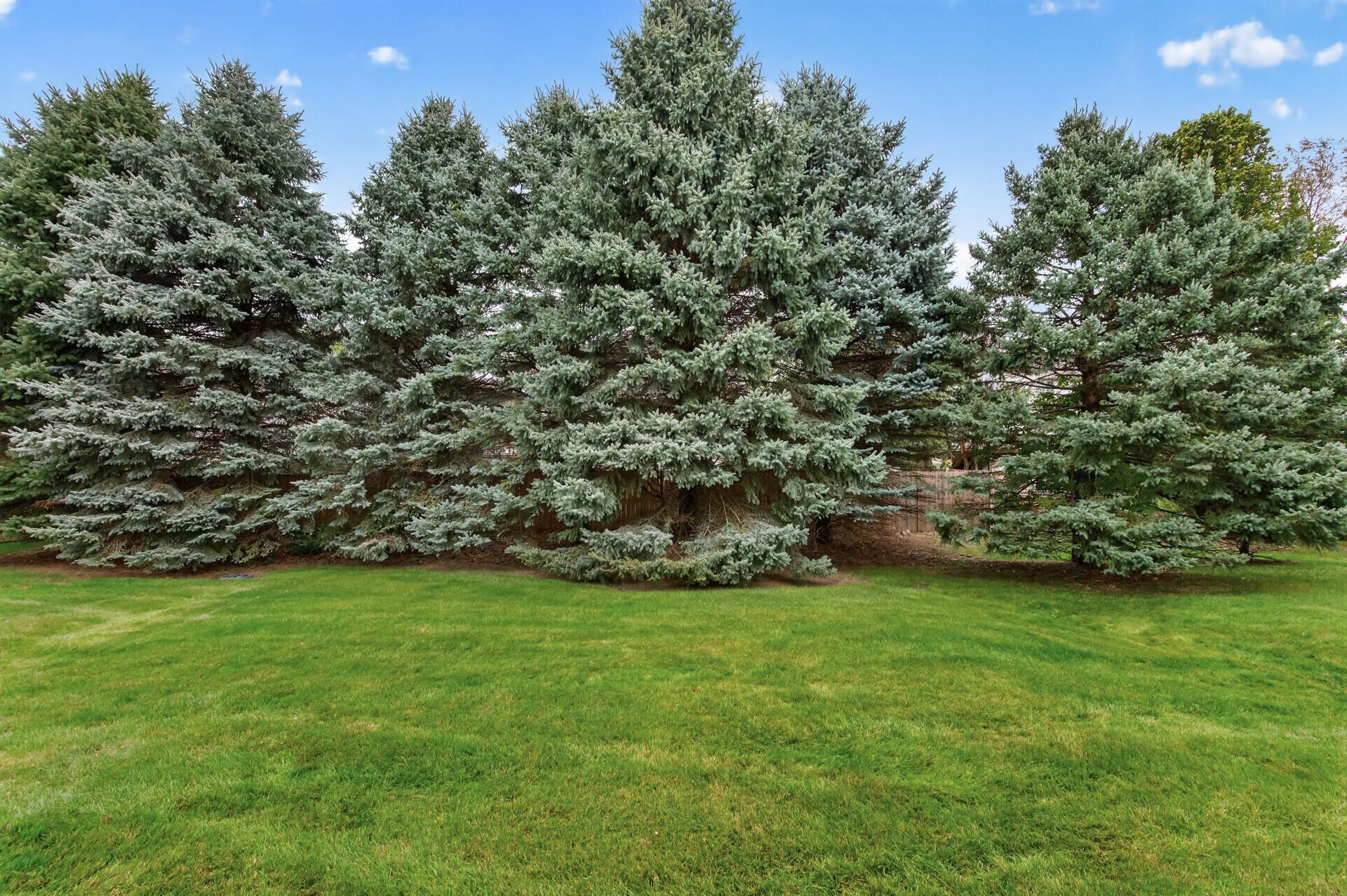 10154 Country Club Curve Property Photo 18