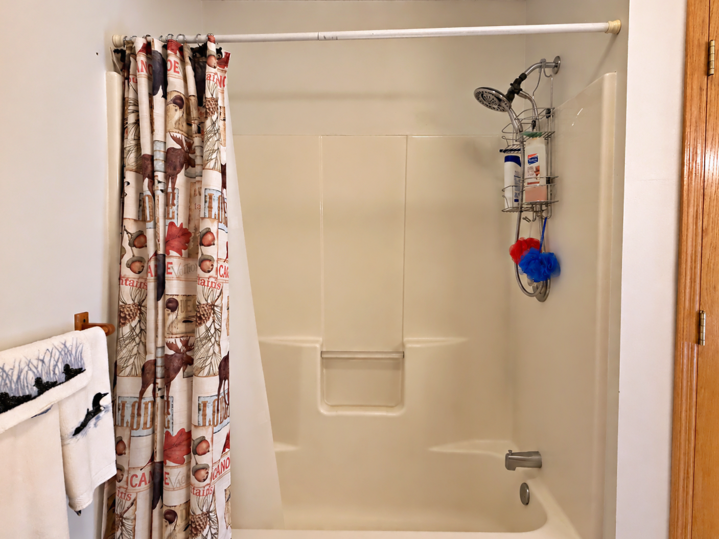24913 Great Pine Drive Property Photo 18