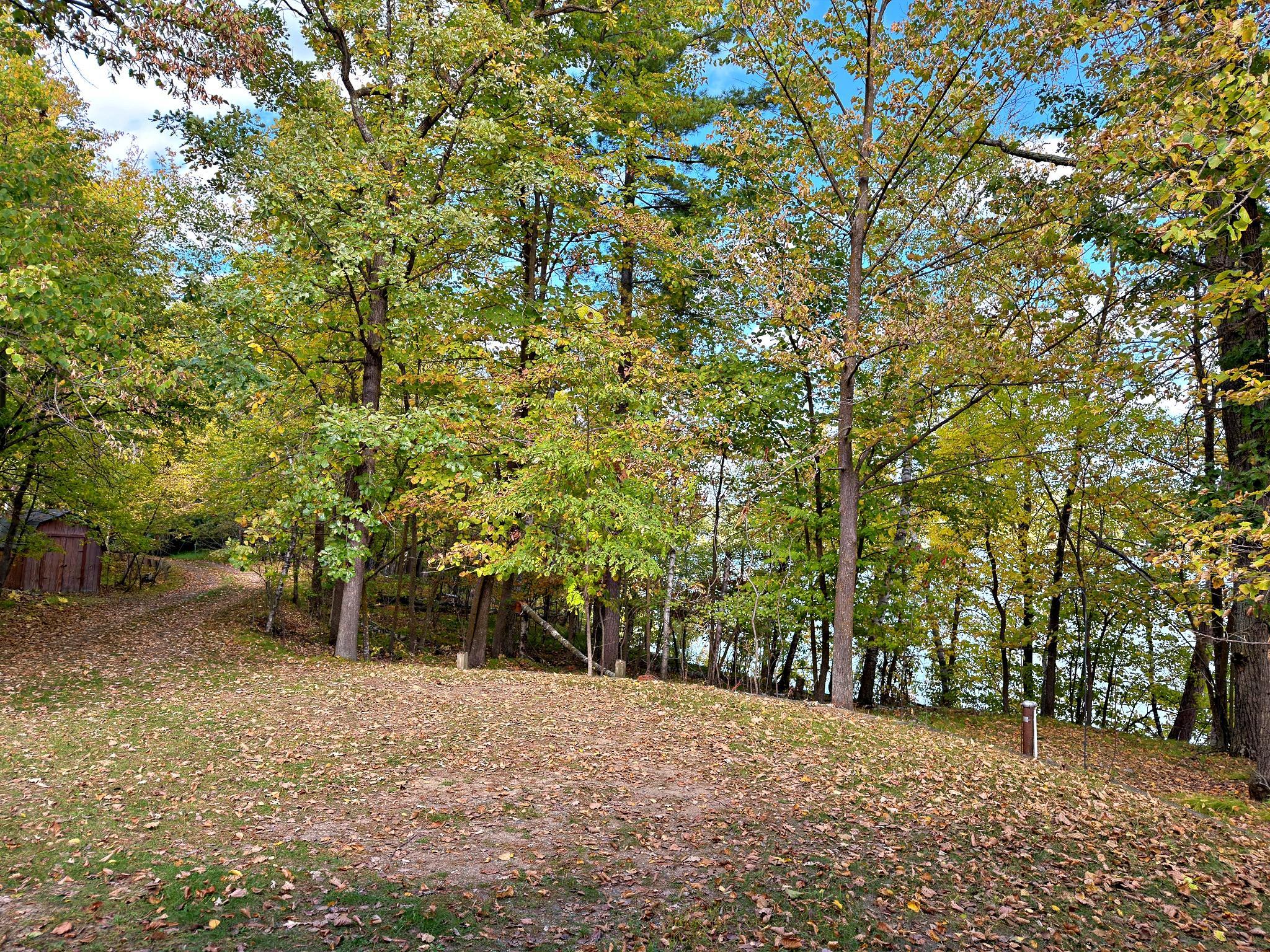 24913 Great Pine Drive Property Photo 40
