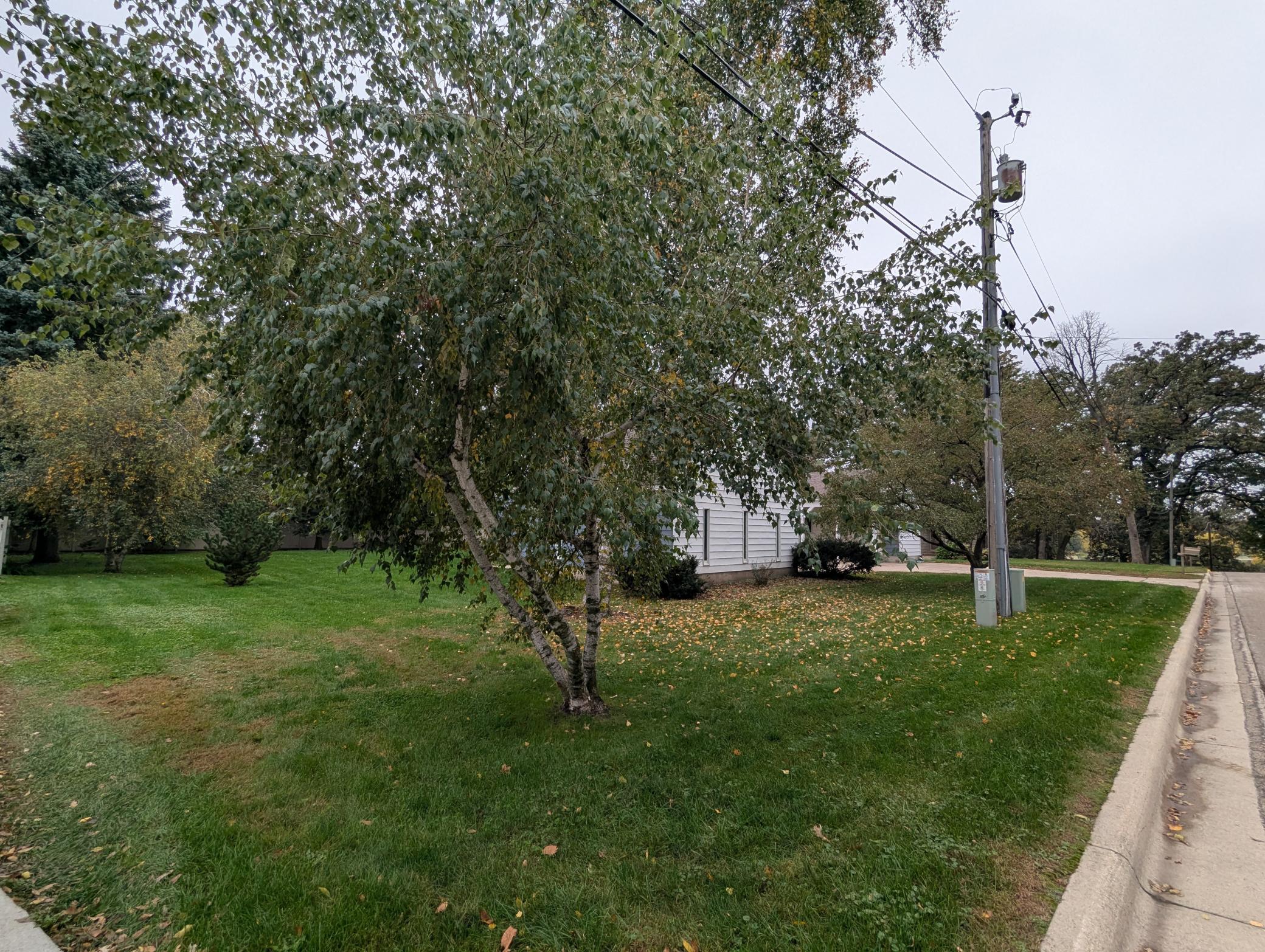 1639 Massee Street Property Photo 6