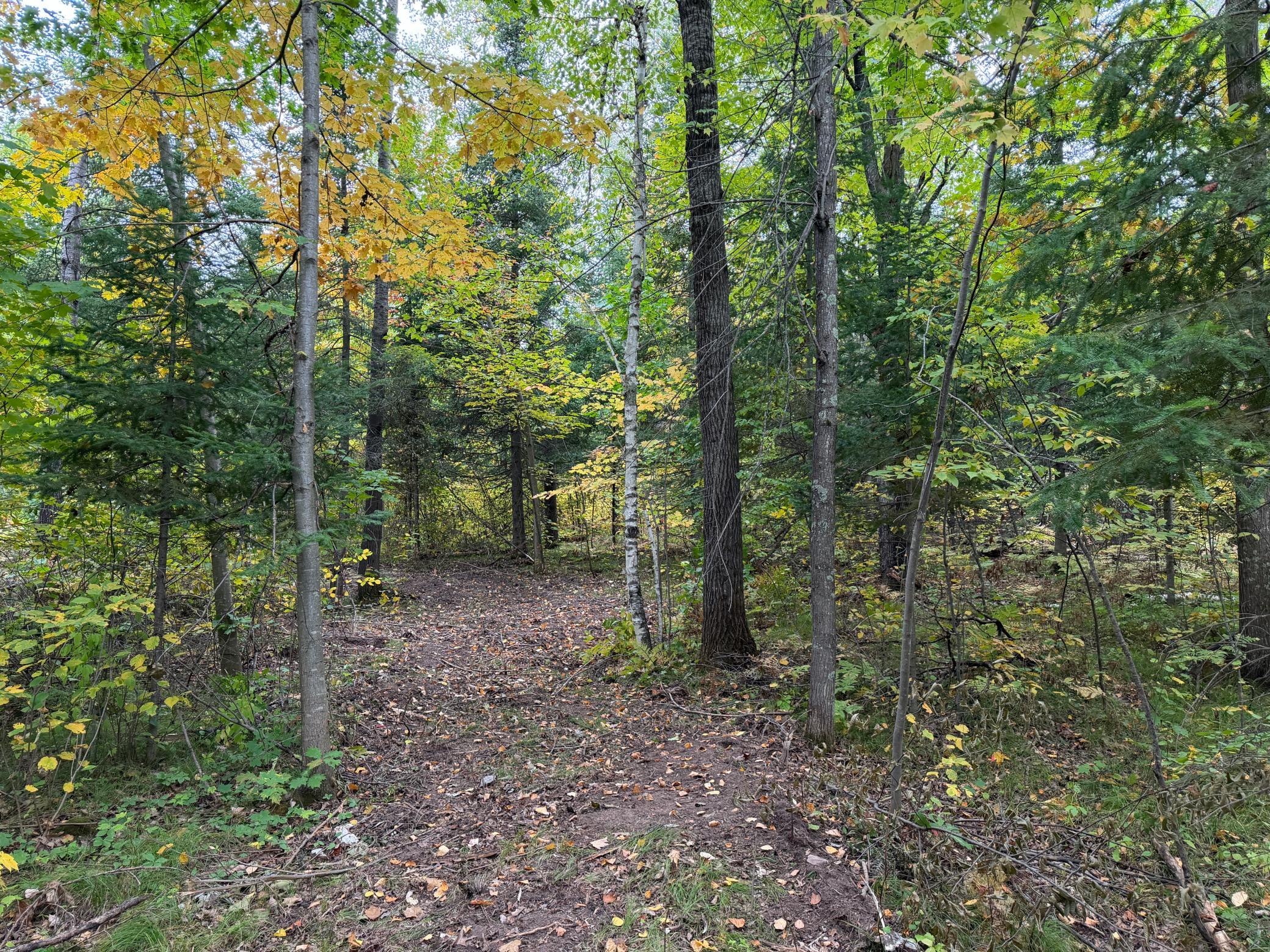 51181 Sand Creek Rd Property Photo 1