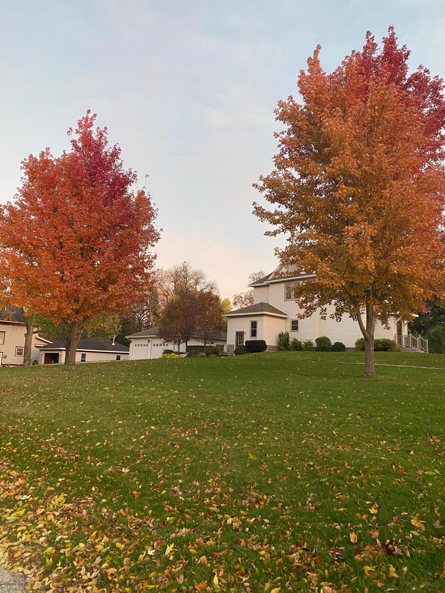 627 12th Street Property Photo 4