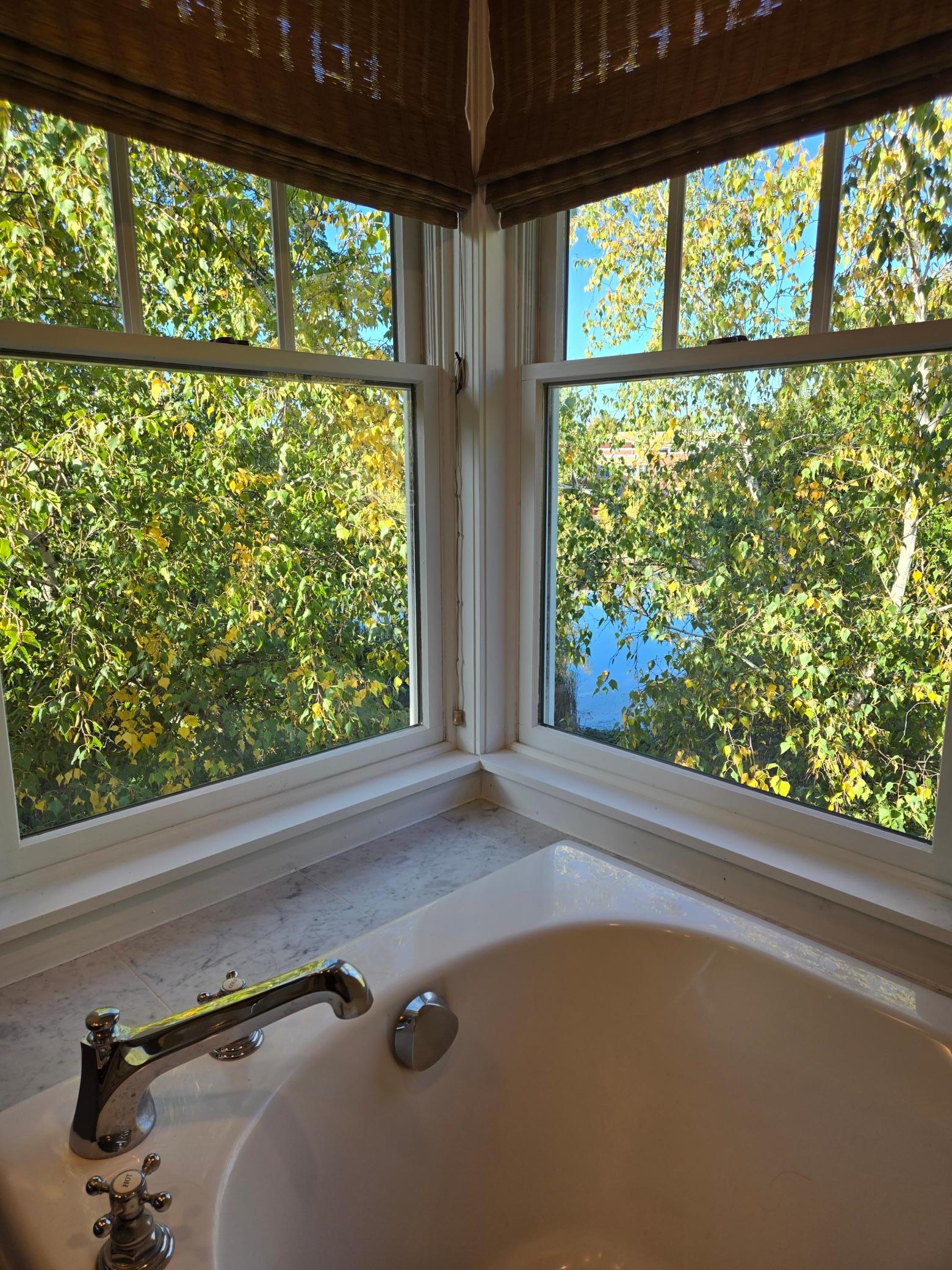 209 Rutherford Road Property Photo 17
