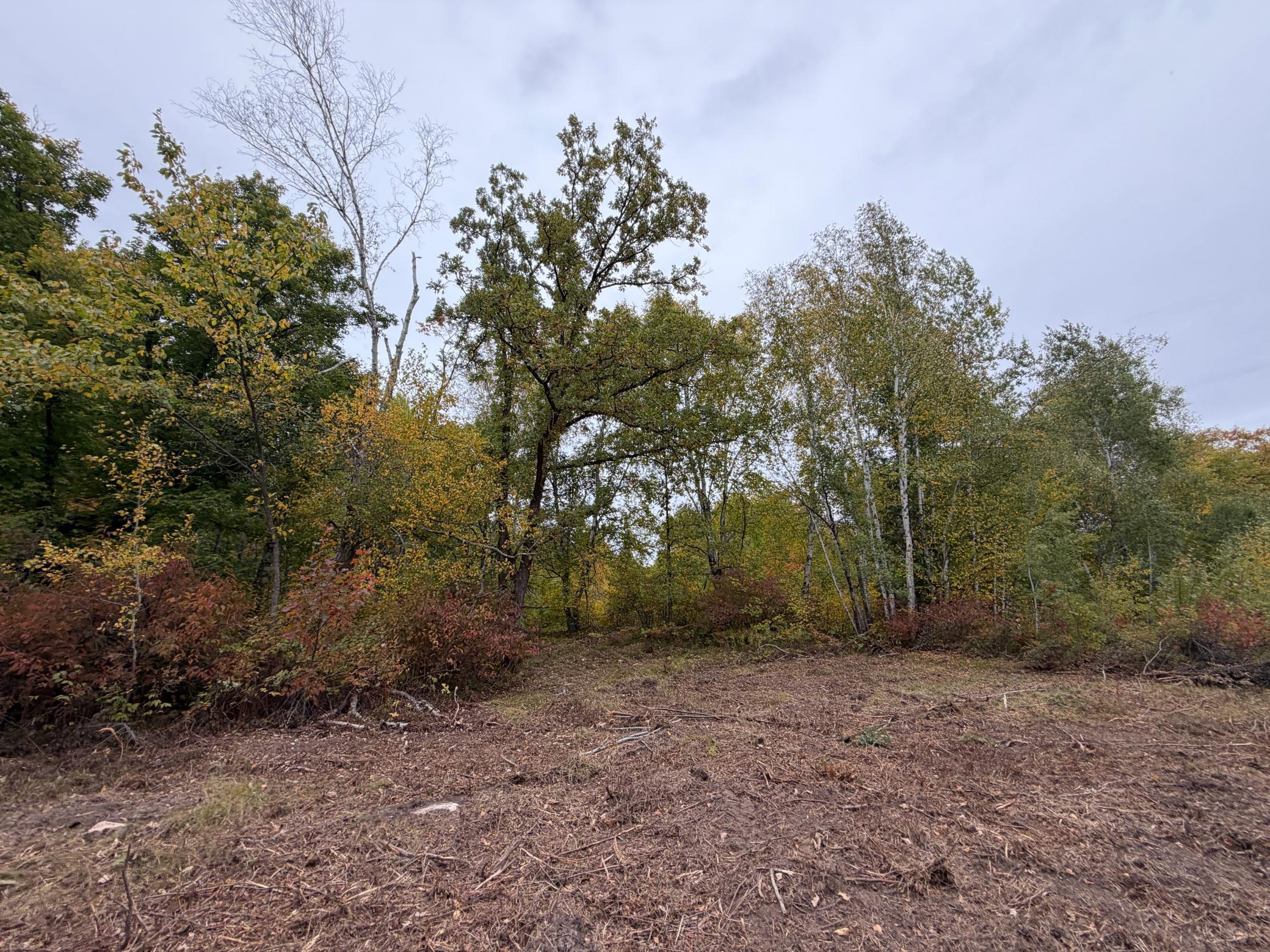 51315 Sand Creek Rd Property Photo 1