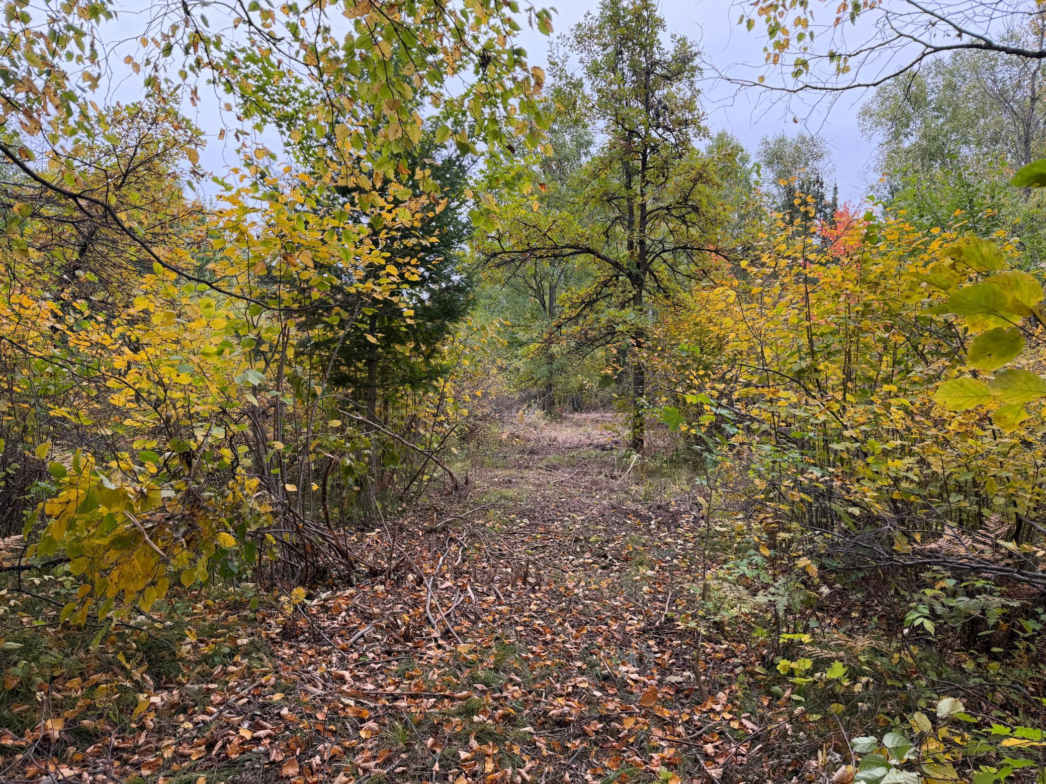 51315 Sand Creek Rd Property Photo 2