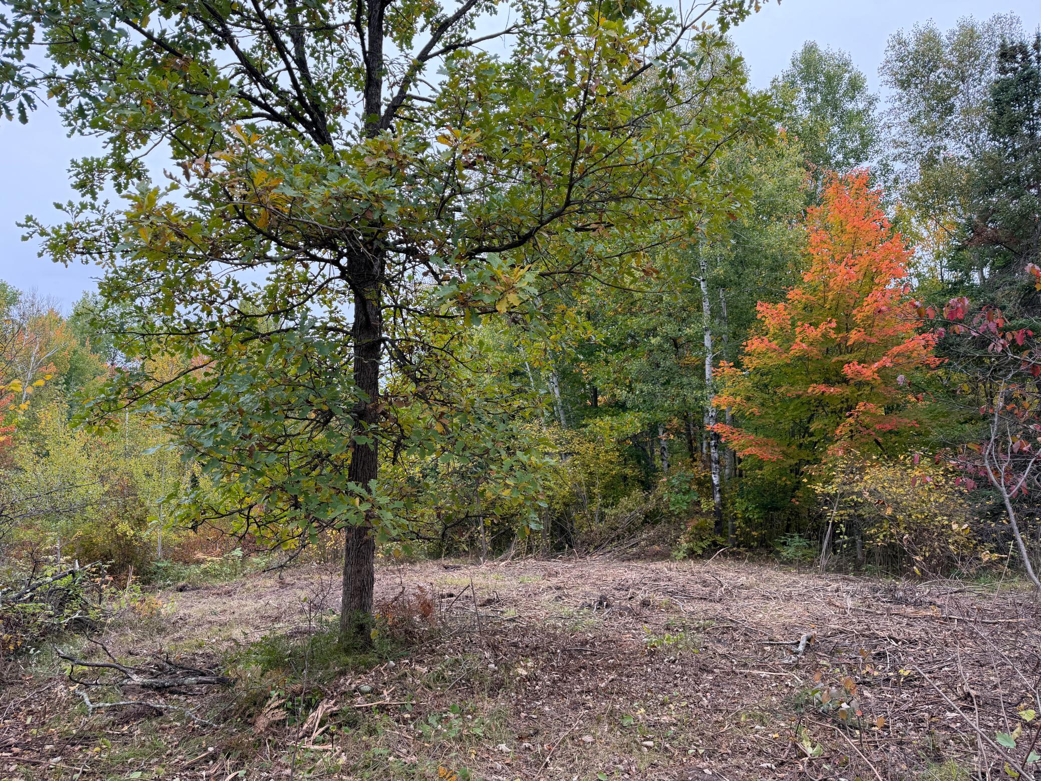 51315 Sand Creek Rd Property Photo 3