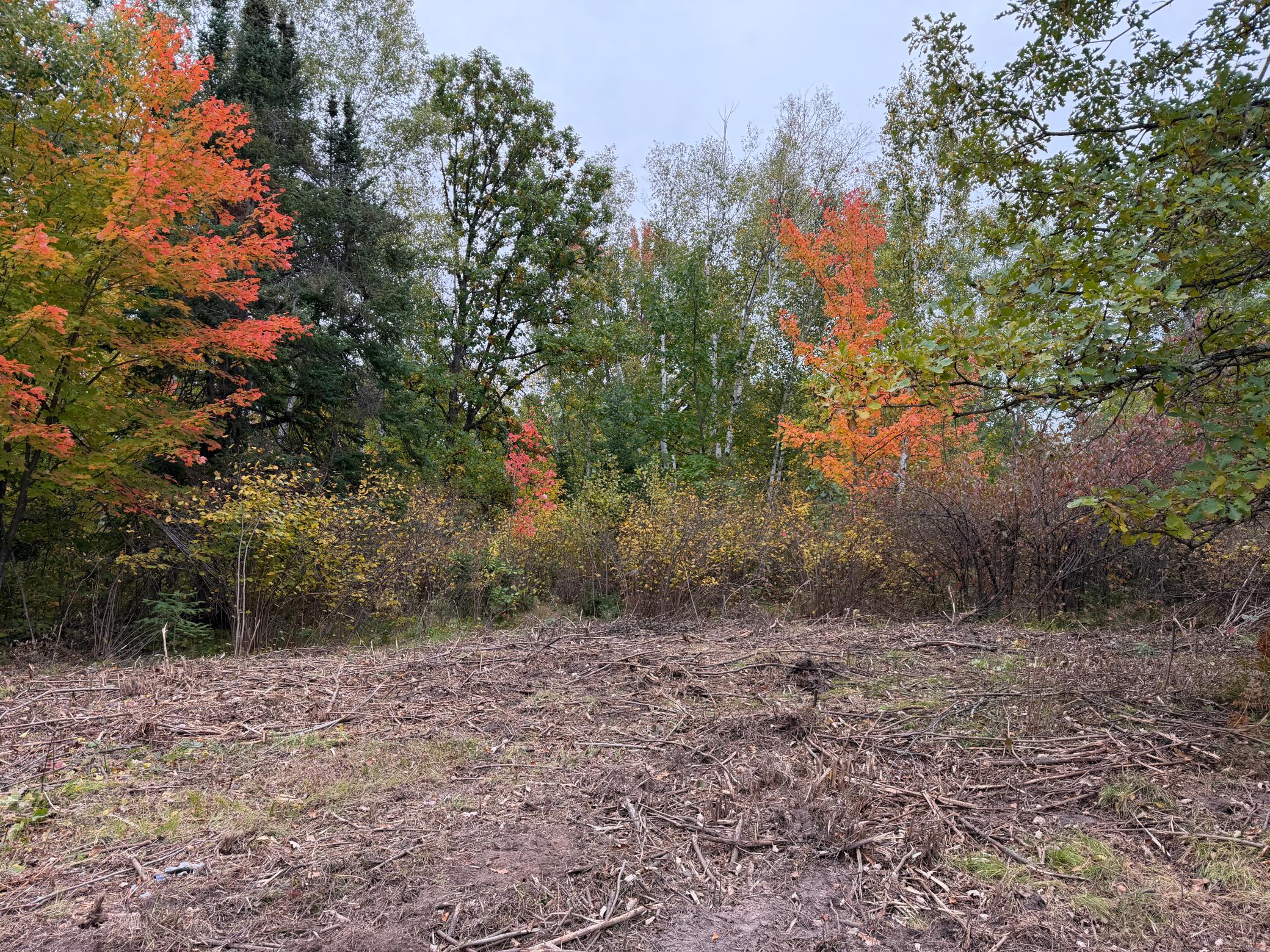 51315 Sand Creek Rd Property Photo 4