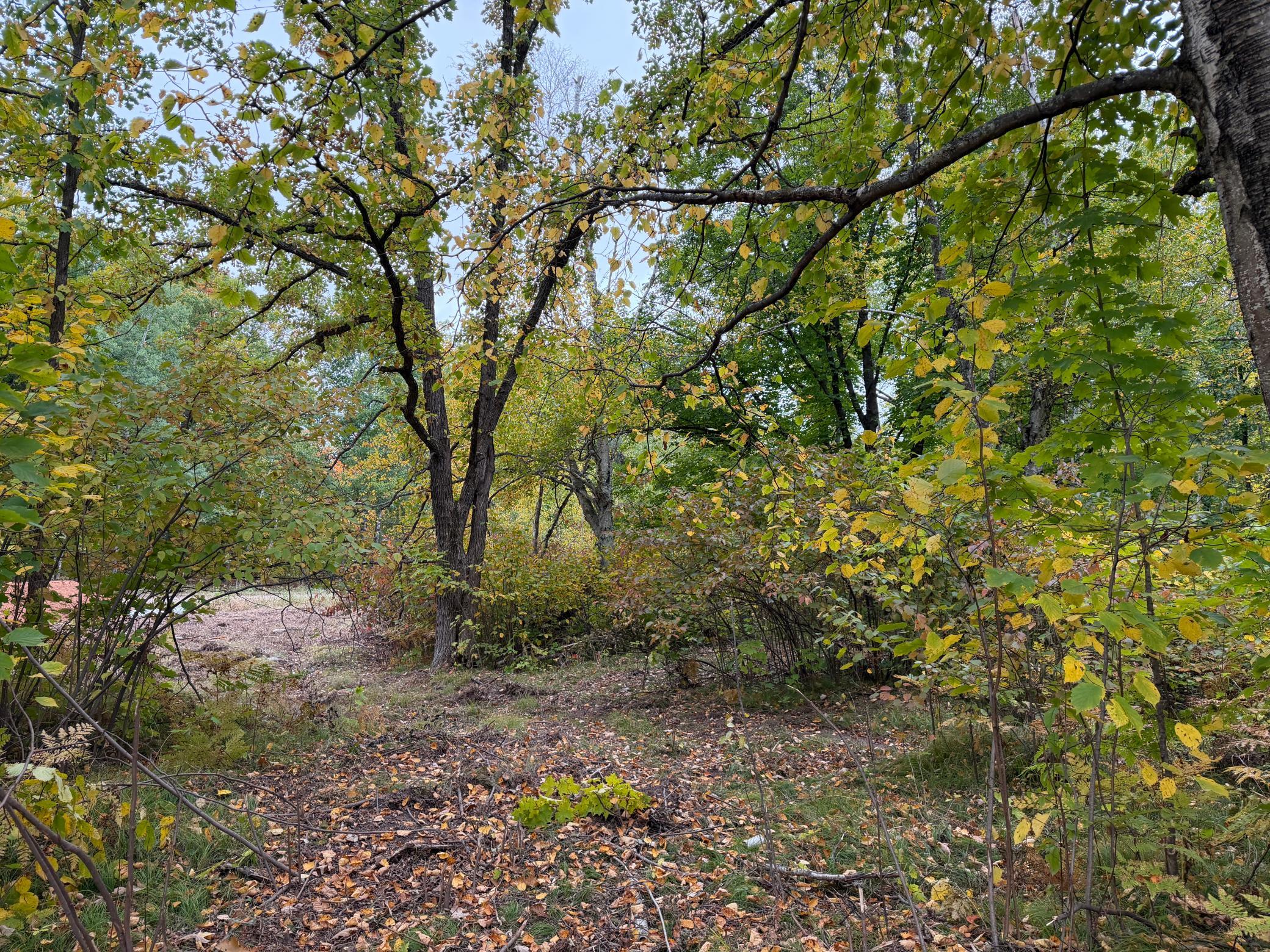 51315 Sand Creek Rd Property Photo 5