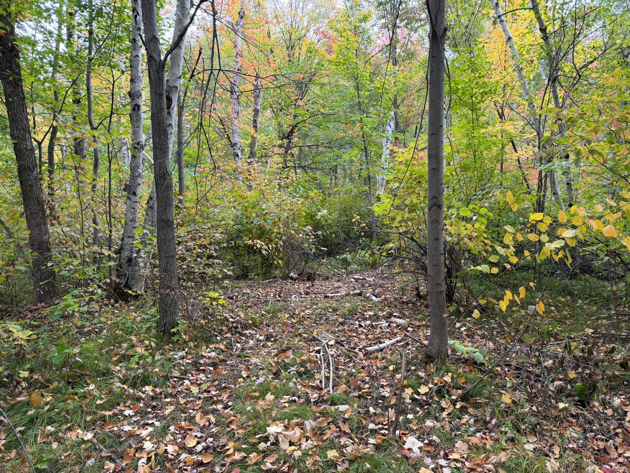51315 Sand Creek Rd Property Photo 6