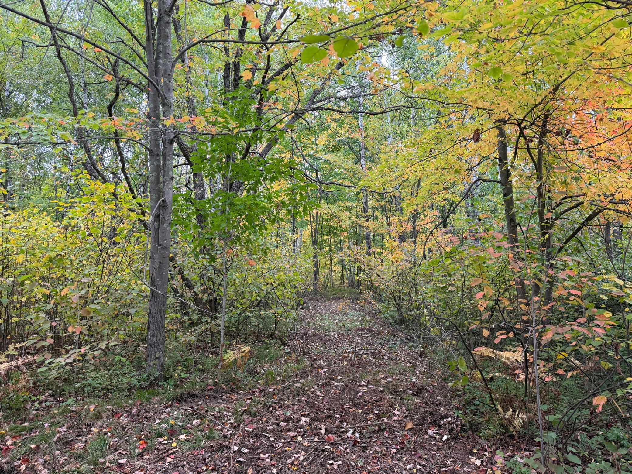 51315 Sand Creek Rd Property Photo 7