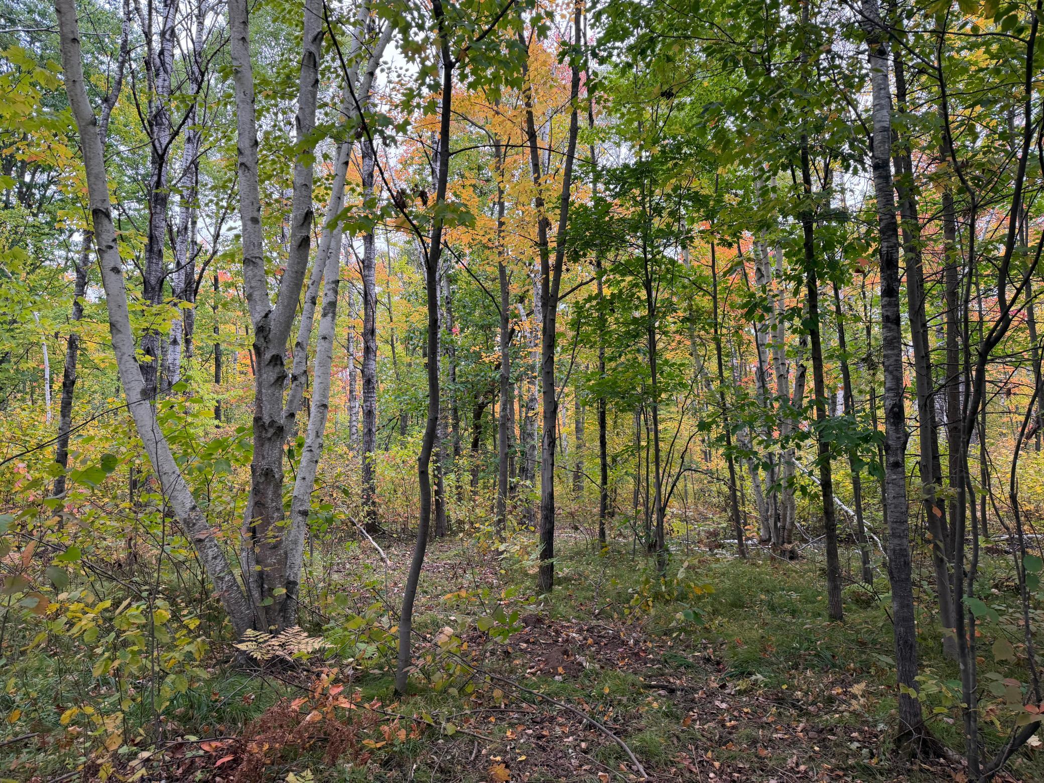 51315 Sand Creek Rd Property Photo 8