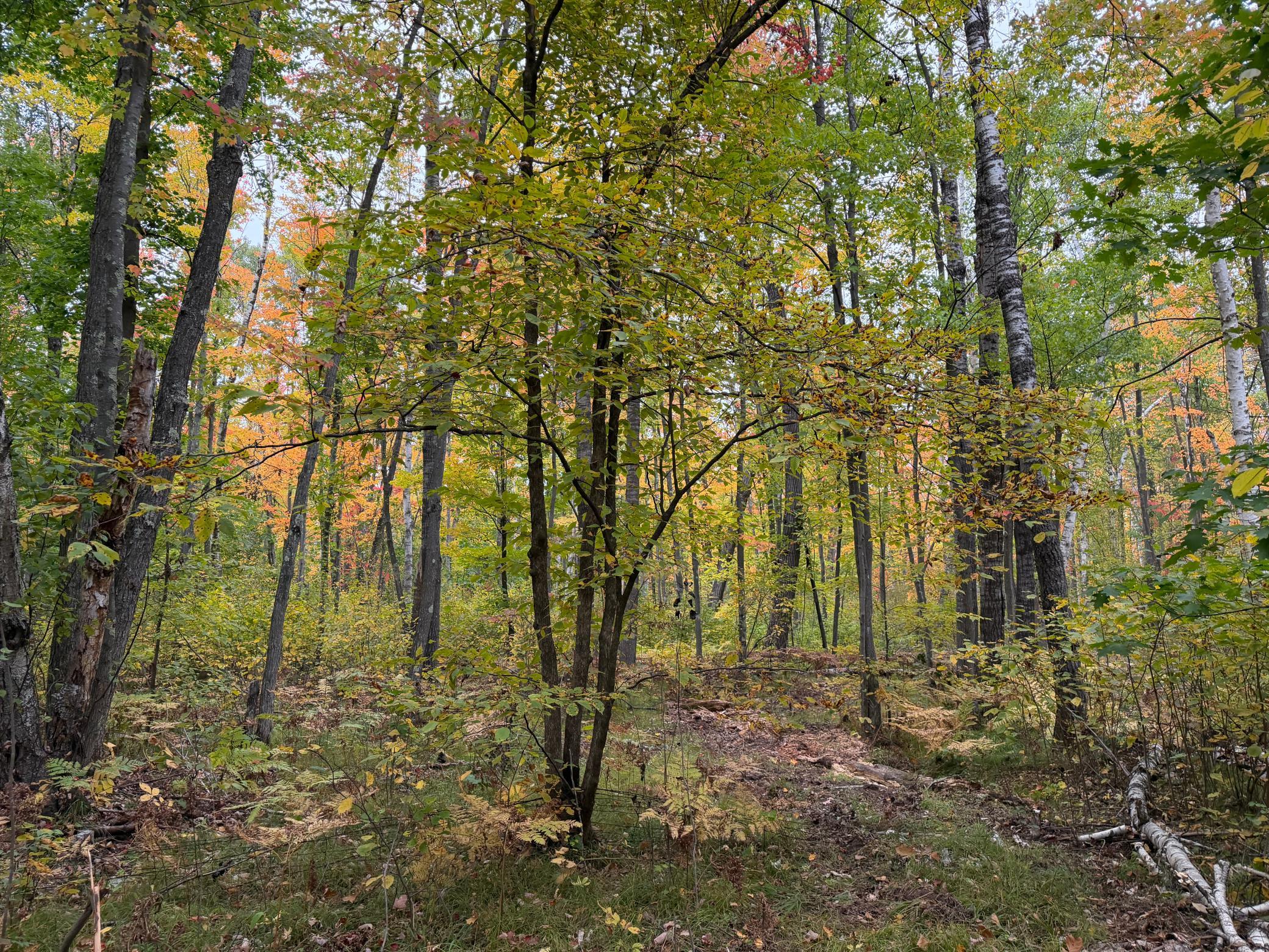 51315 Sand Creek Rd Property Photo 9