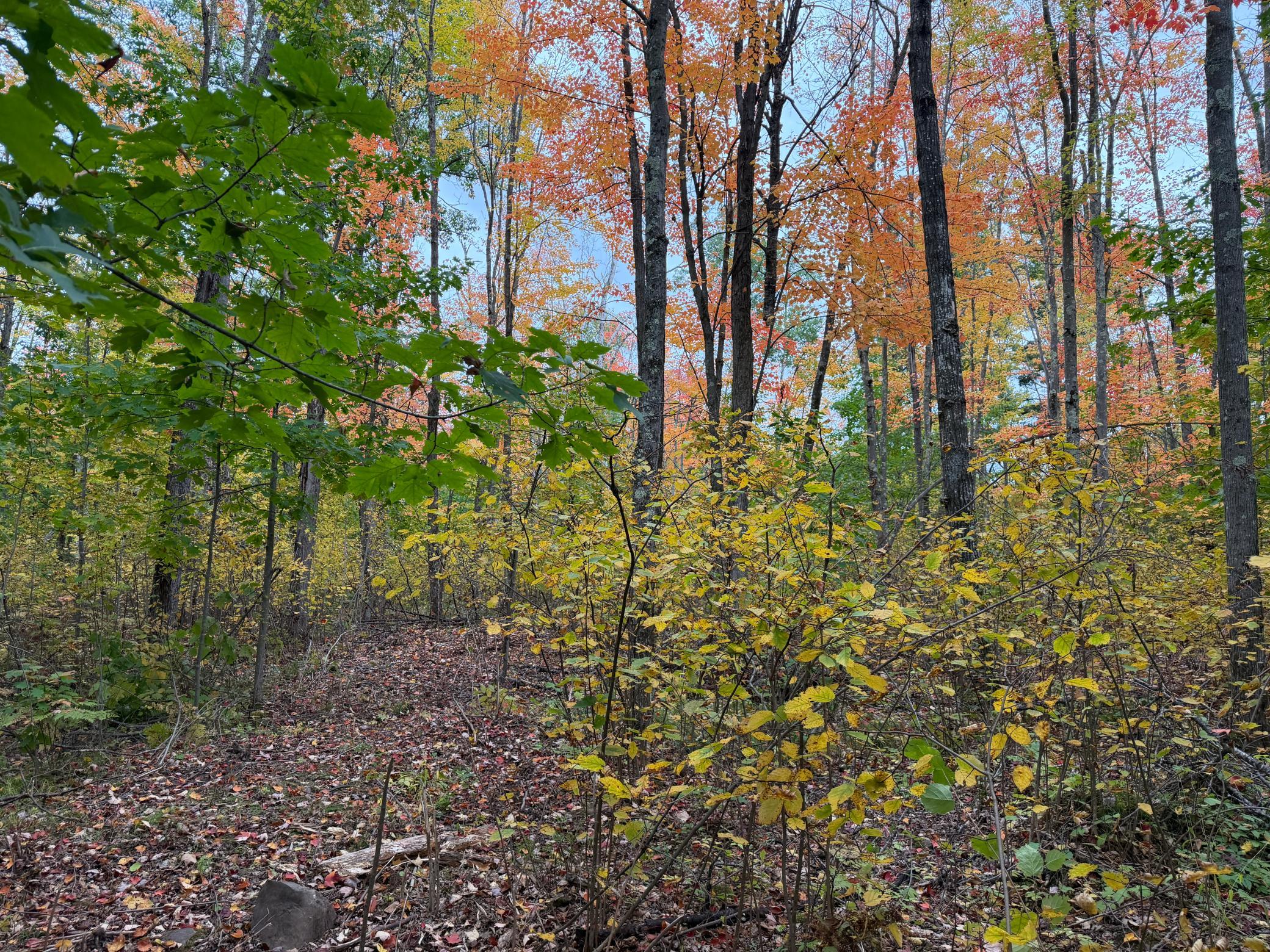 51315 Sand Creek Rd Property Photo 13