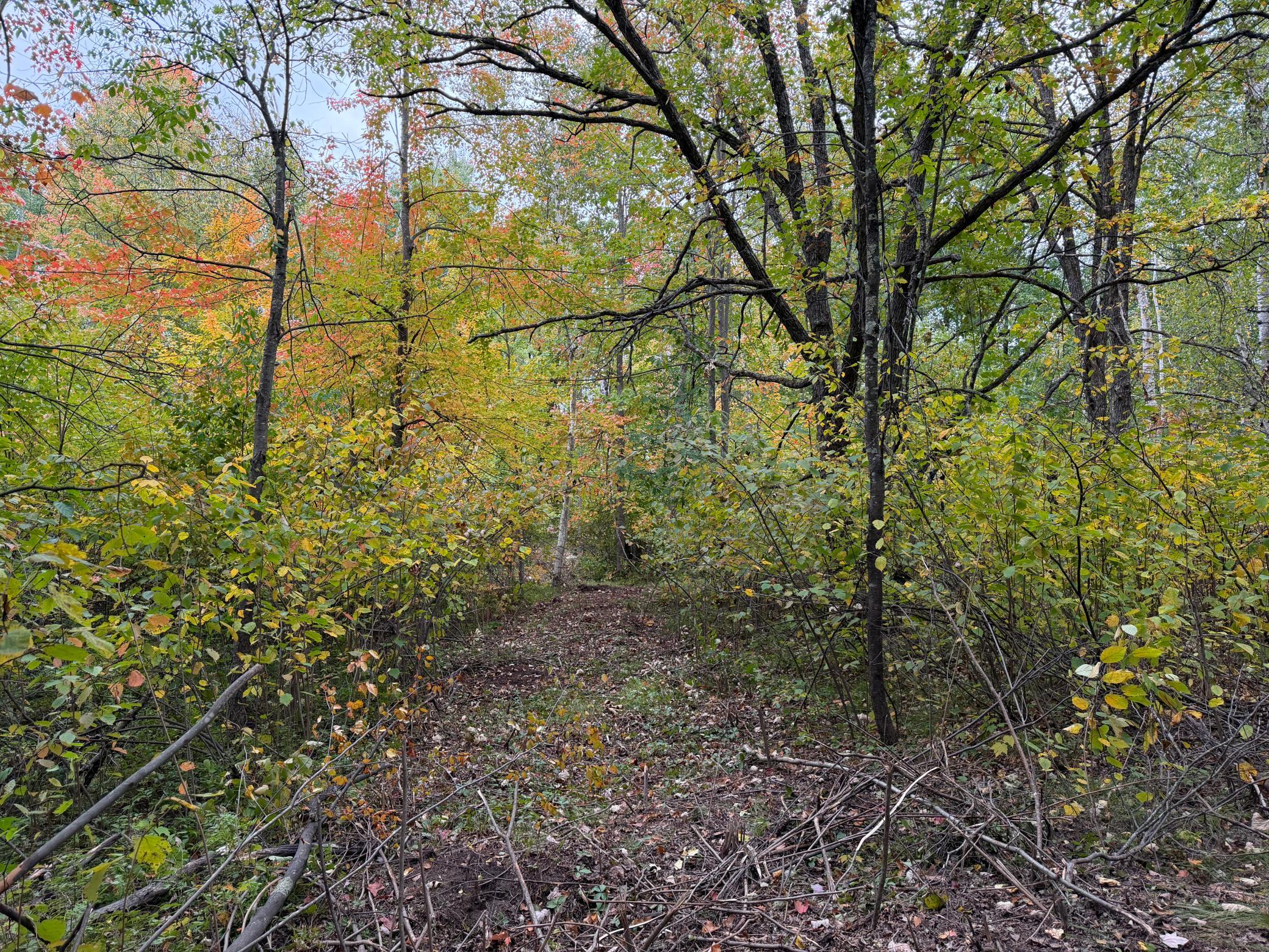 51315 Sand Creek Rd Property Photo 15