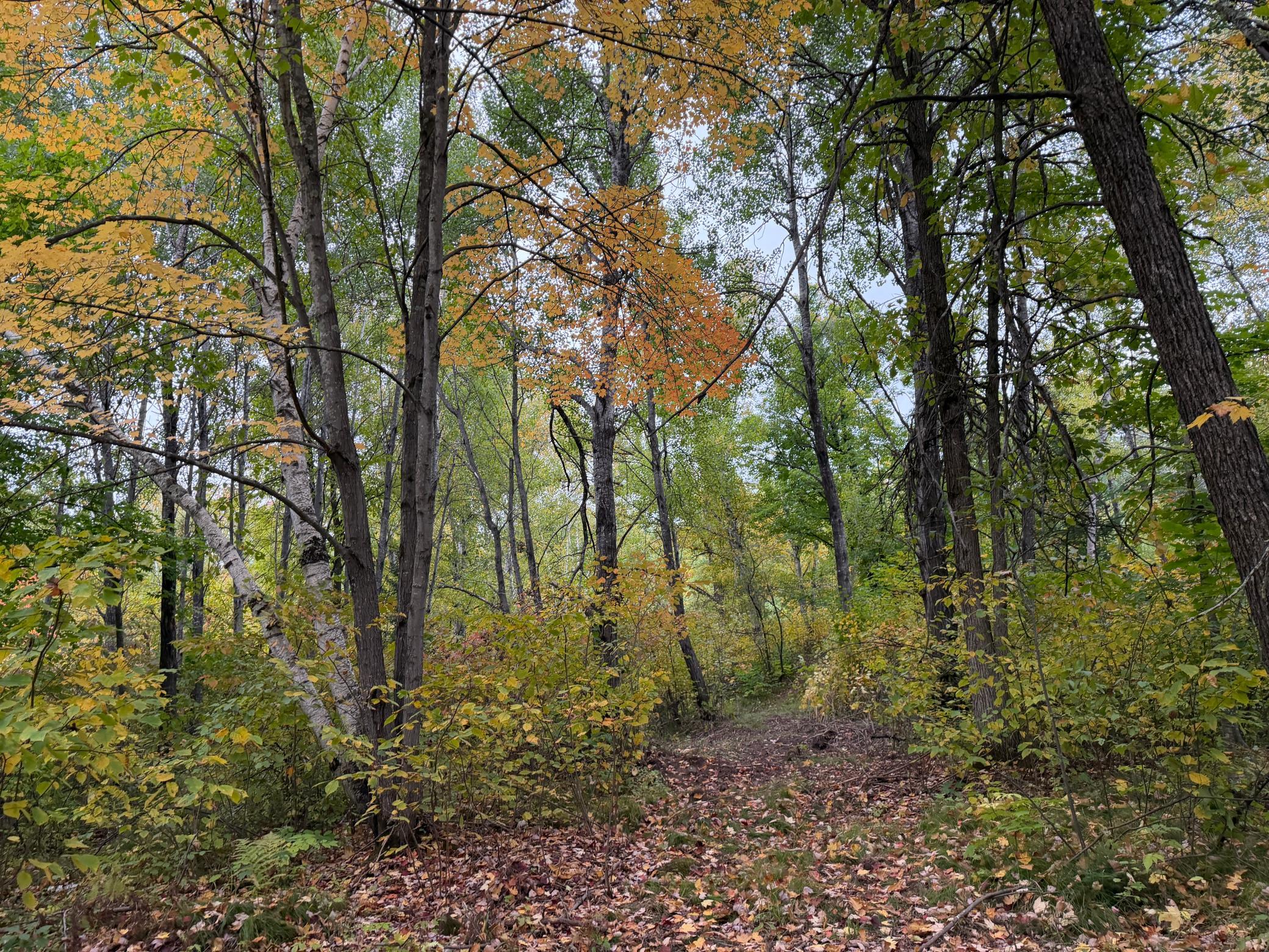 51315 Sand Creek Rd Property Photo 16