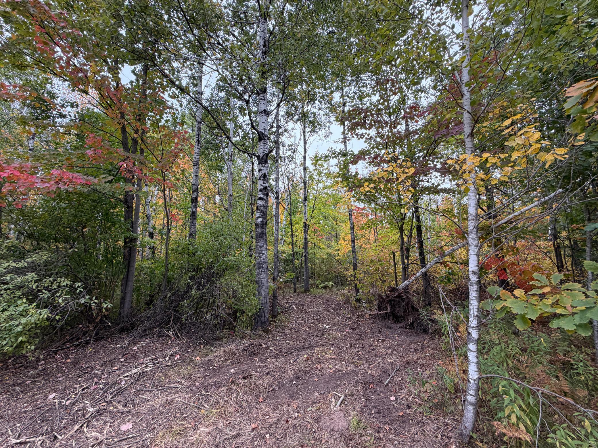 51449 Sand Creek Rd Property Photo 1
