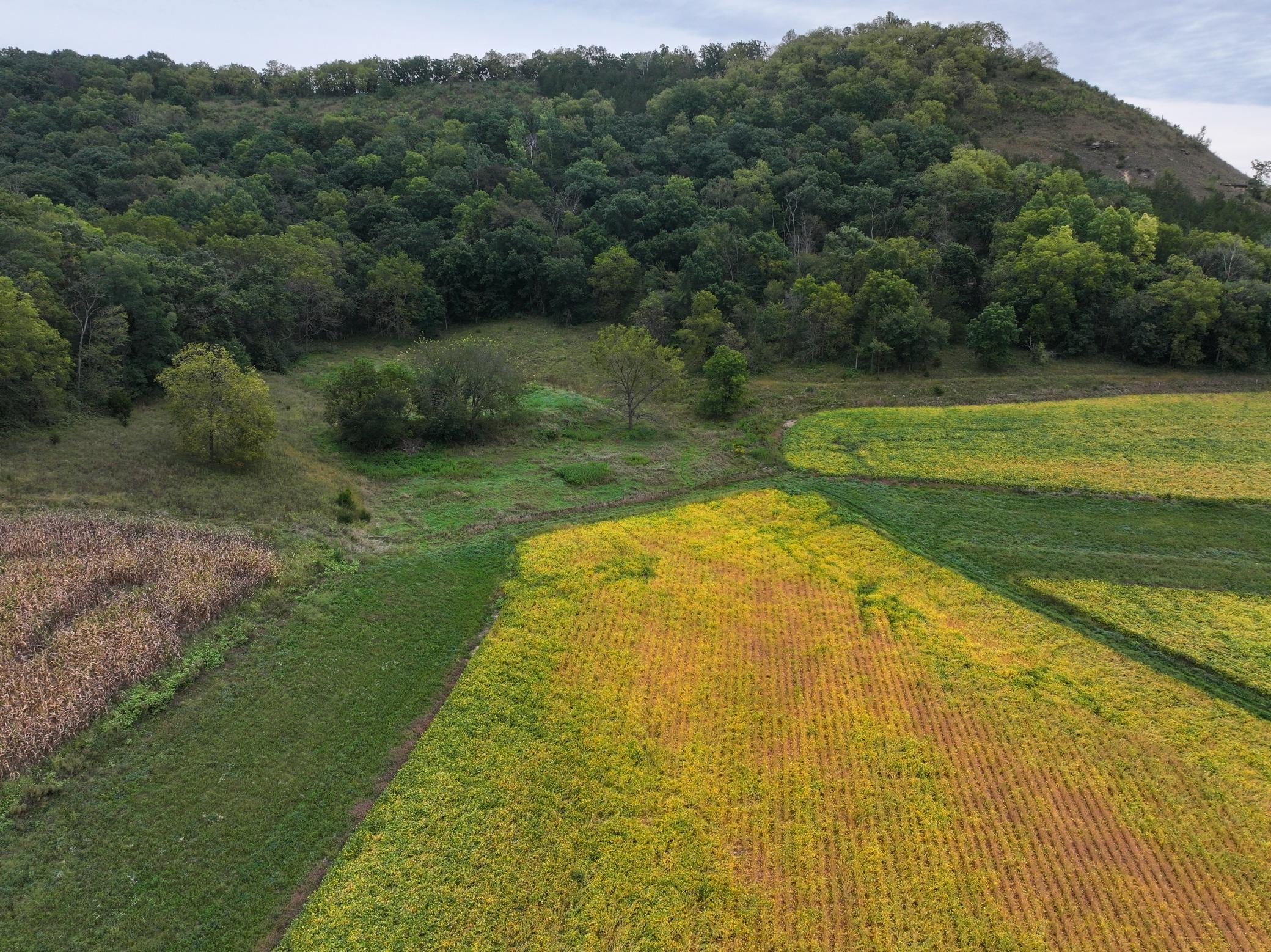 9516 County 4 Property Photo 18
