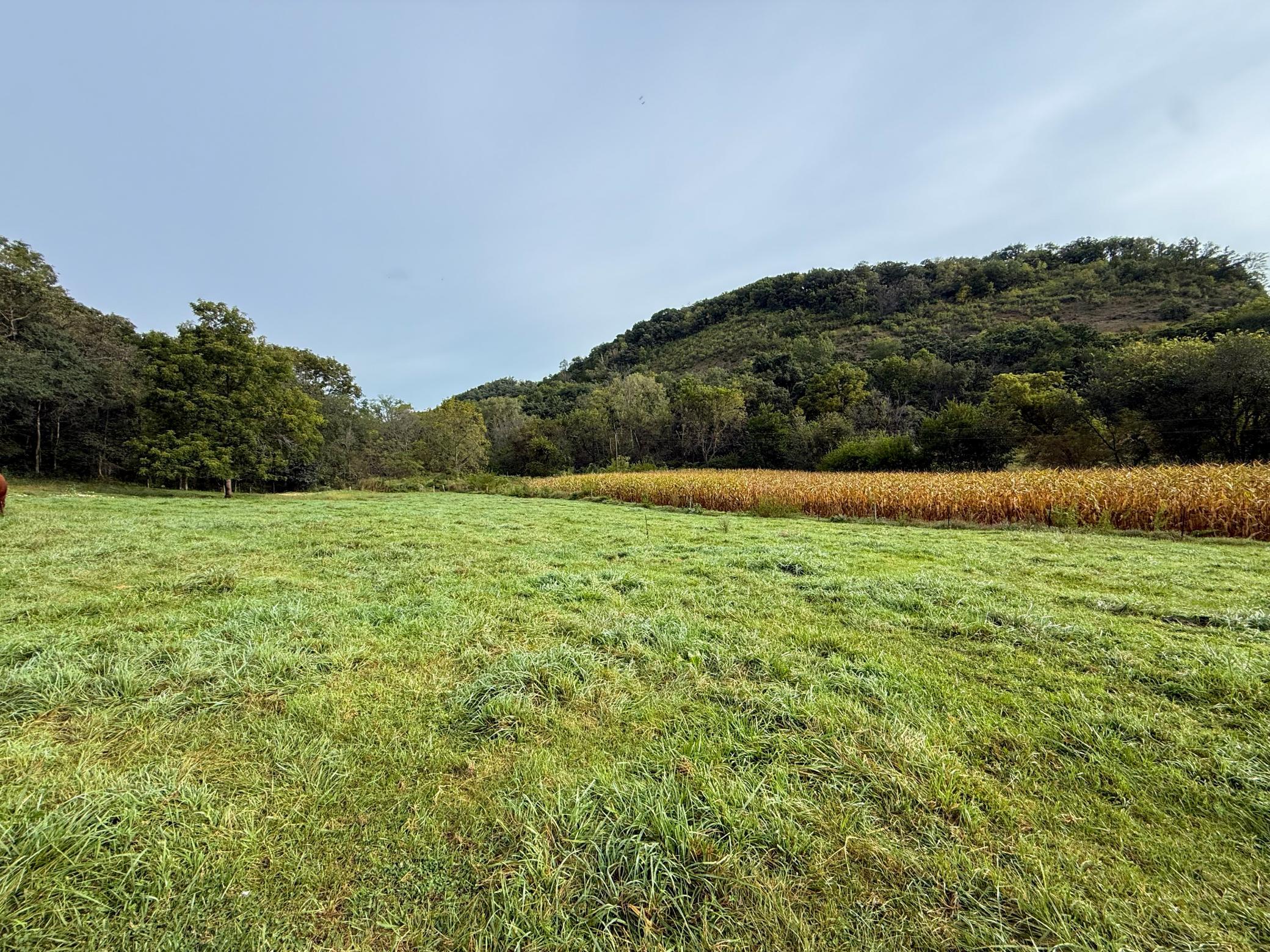 9516 County 4 Property Photo 56