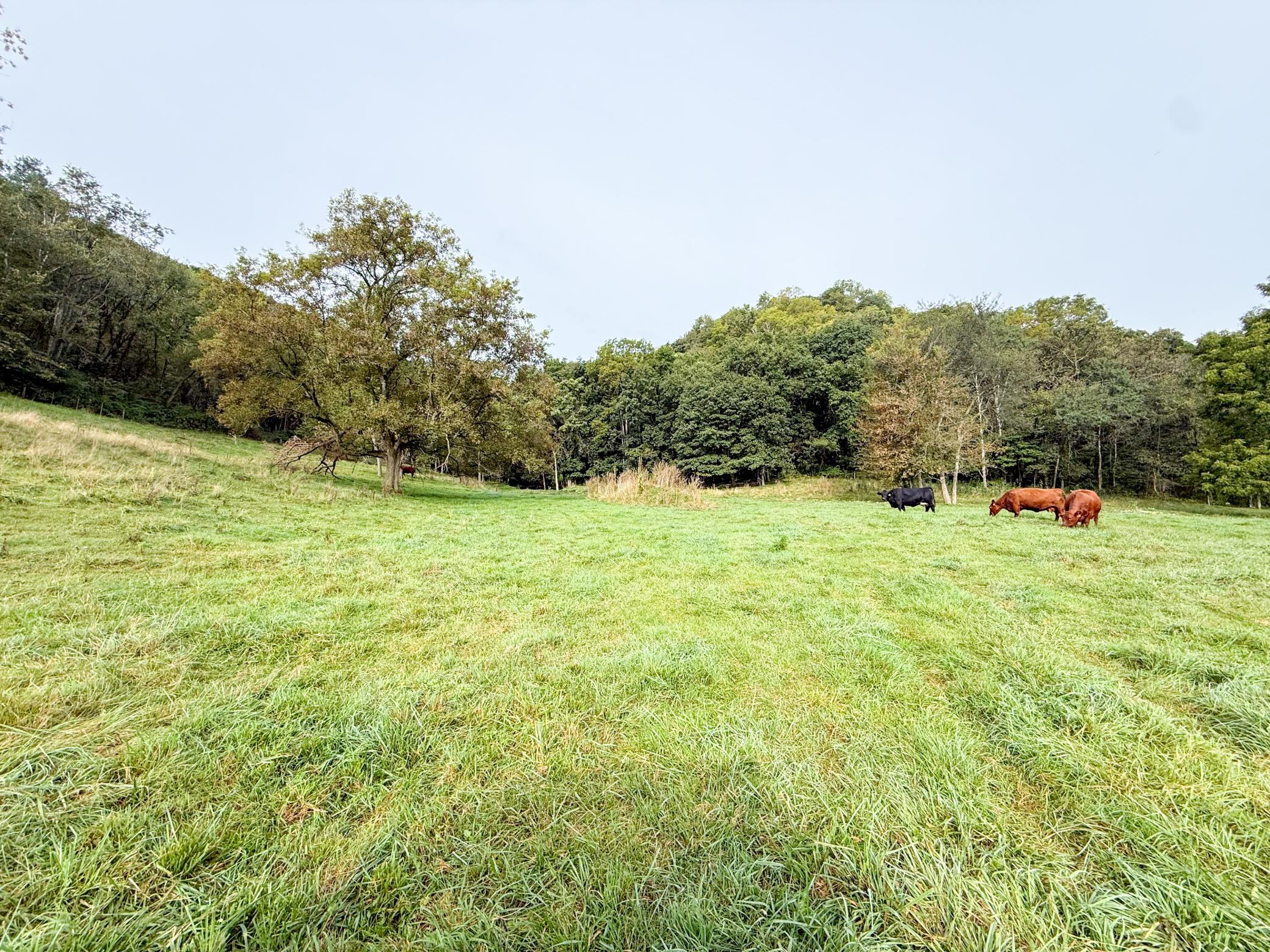 9516 County 4 Property Photo 57