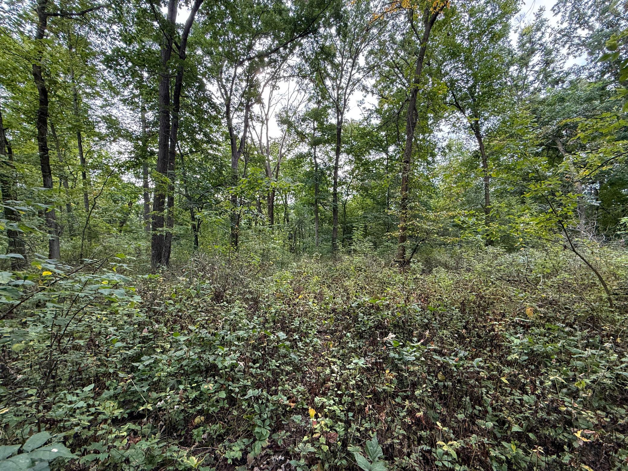 9516 County 4 Property Photo 58