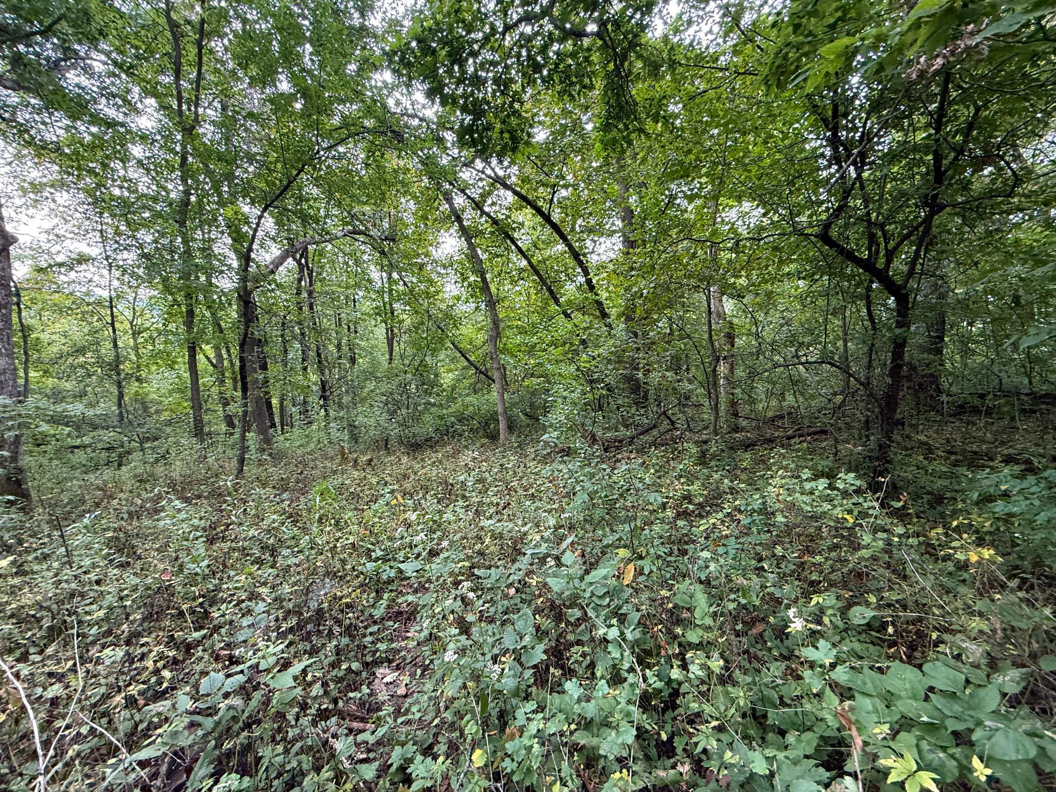 9516 County 4 Property Photo 59