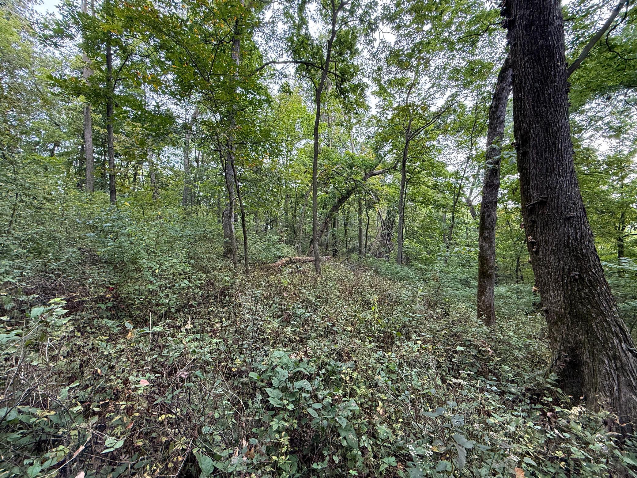 9516 County 4 Property Photo 60
