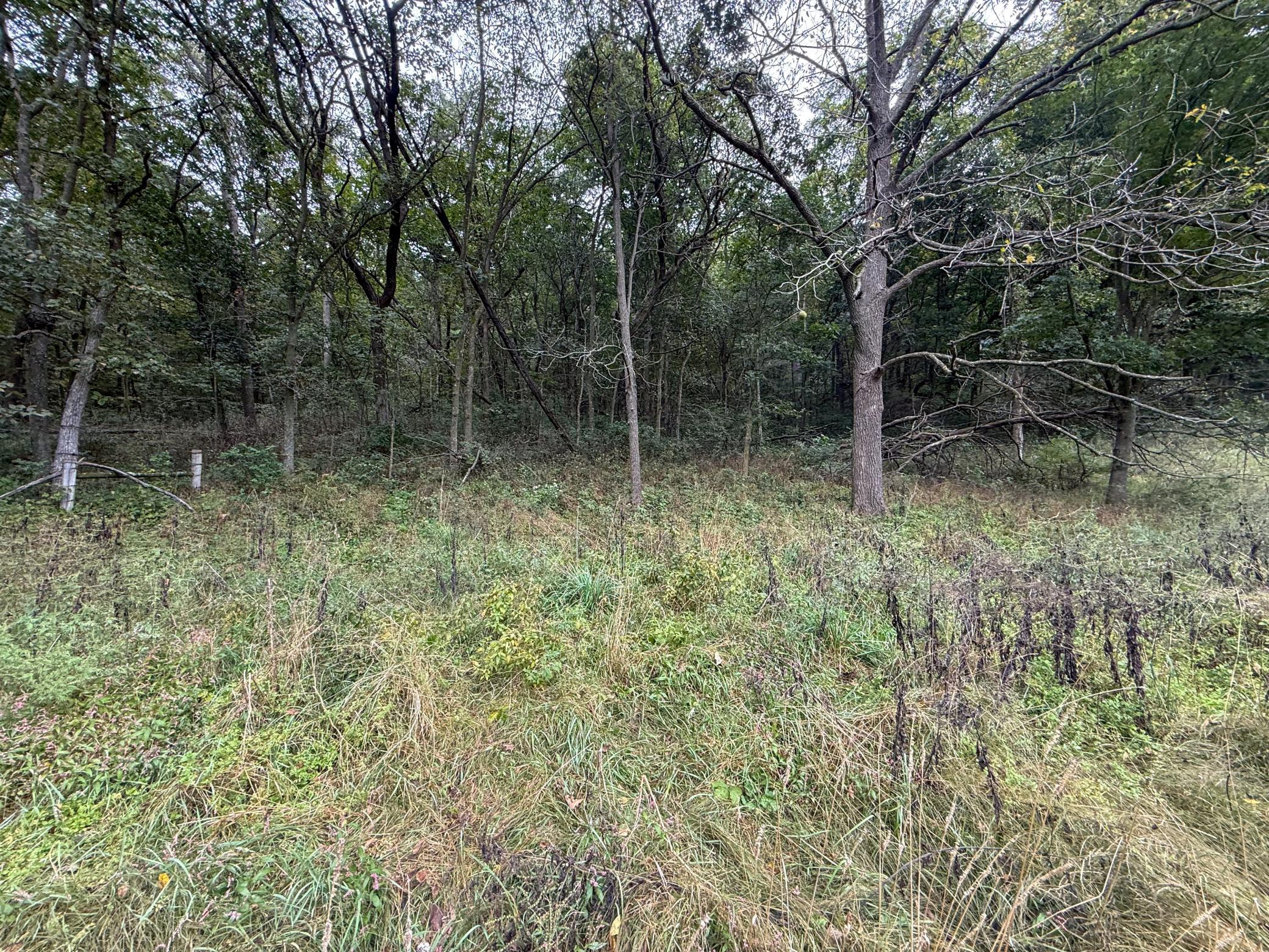 9516 County 4 Property Photo 62