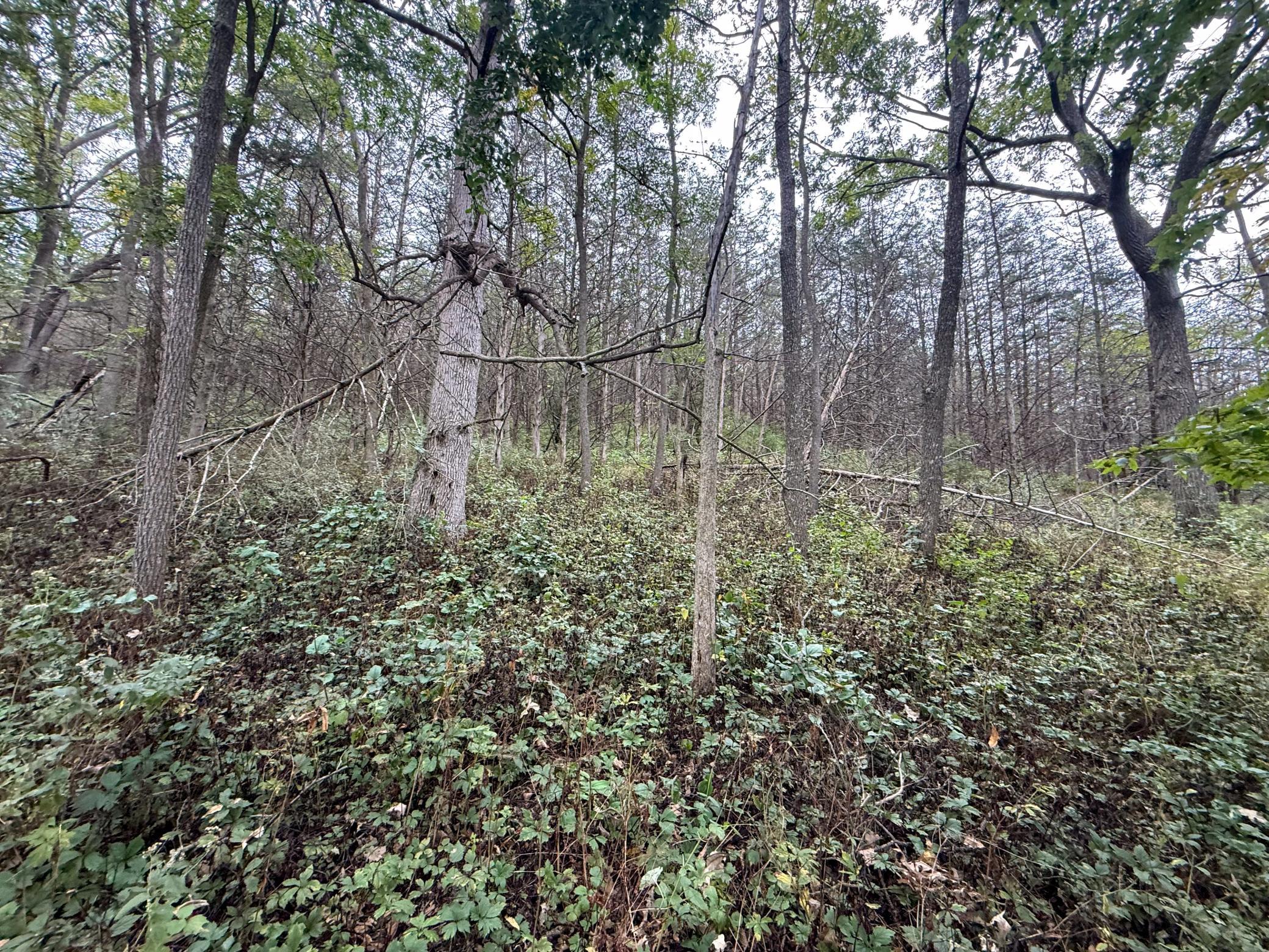 9516 County 4 Property Photo 71