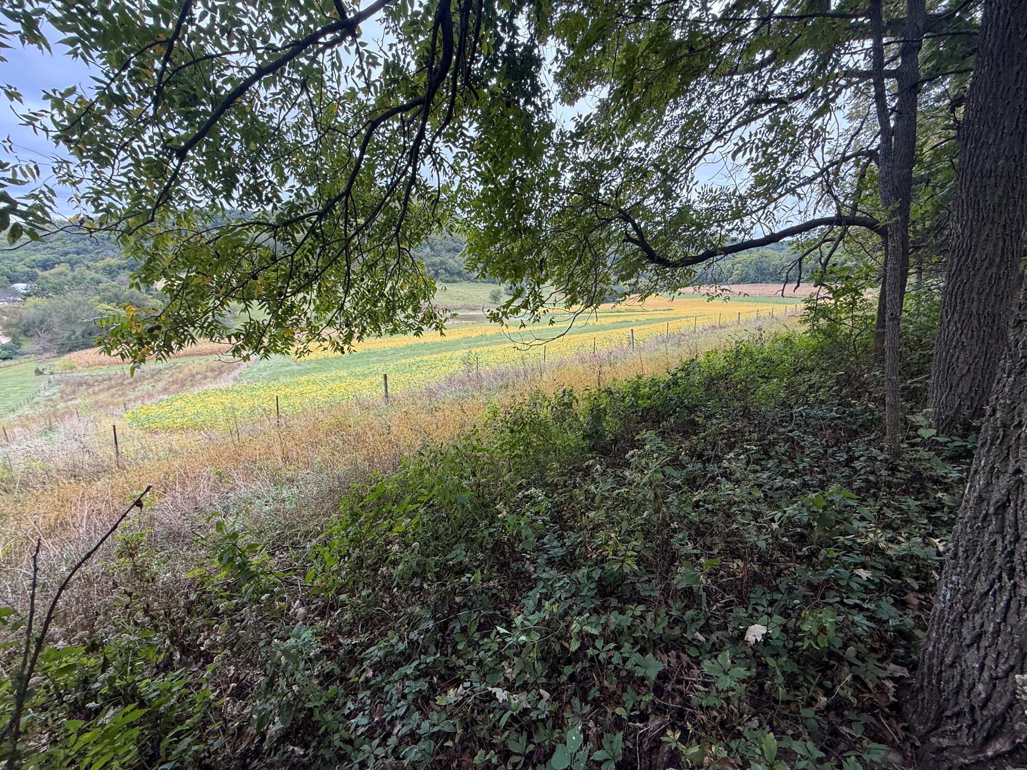 9516 County 4 Property Photo 73