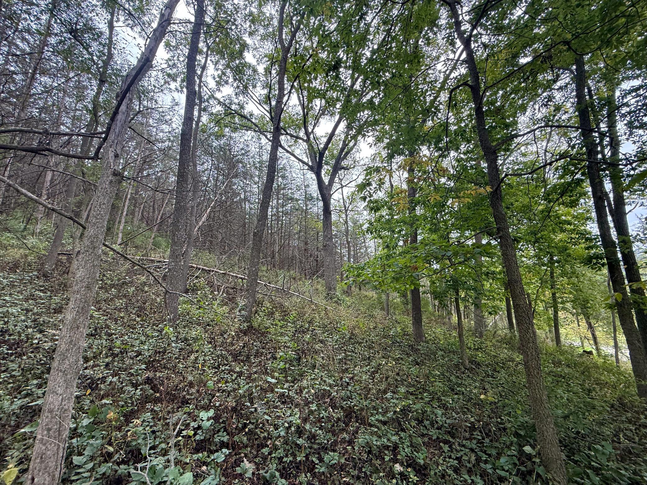 9516 County 4 Property Photo 74