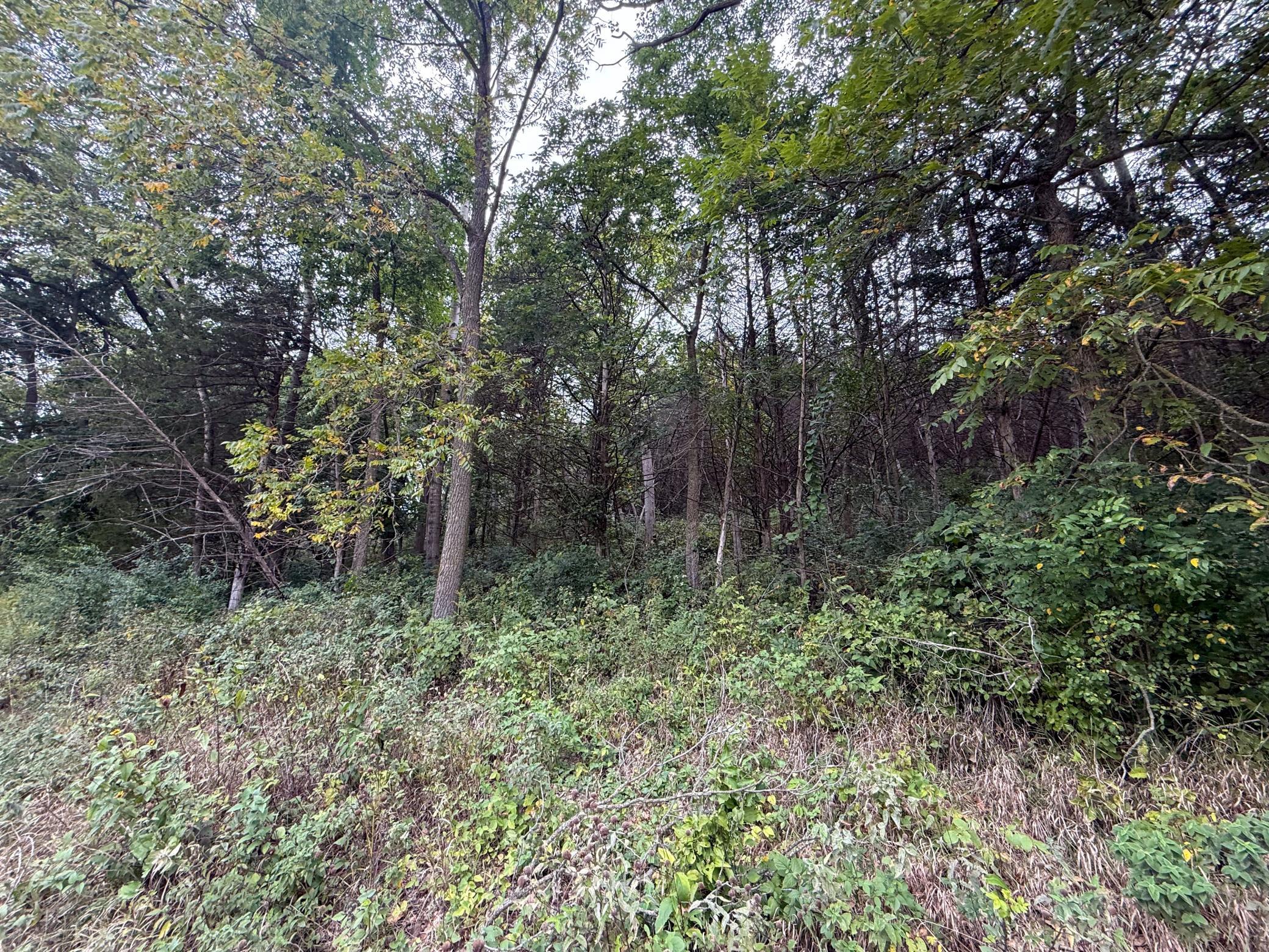 9516 County 4 Property Photo 76
