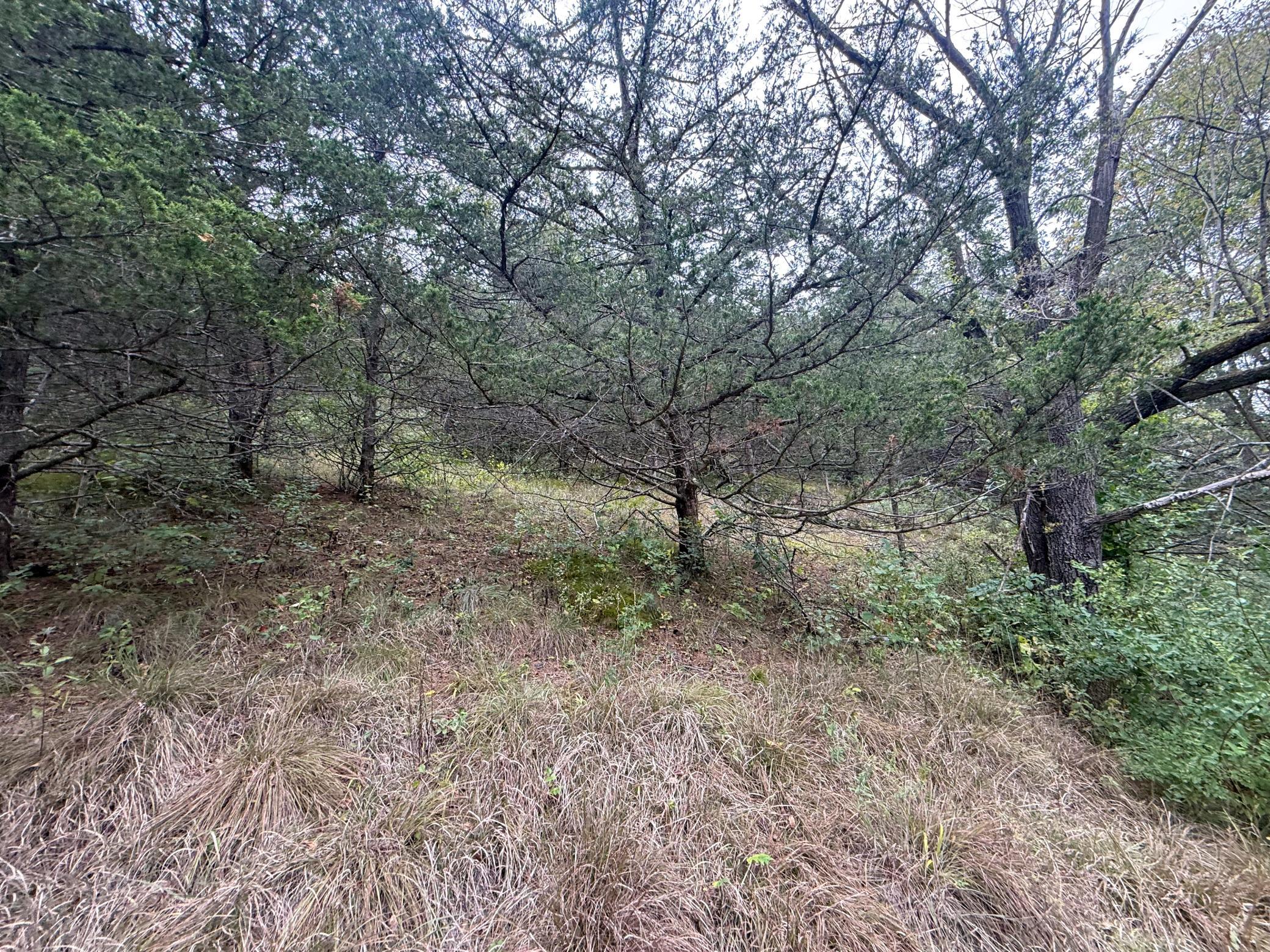 9516 County 4 Property Photo 80