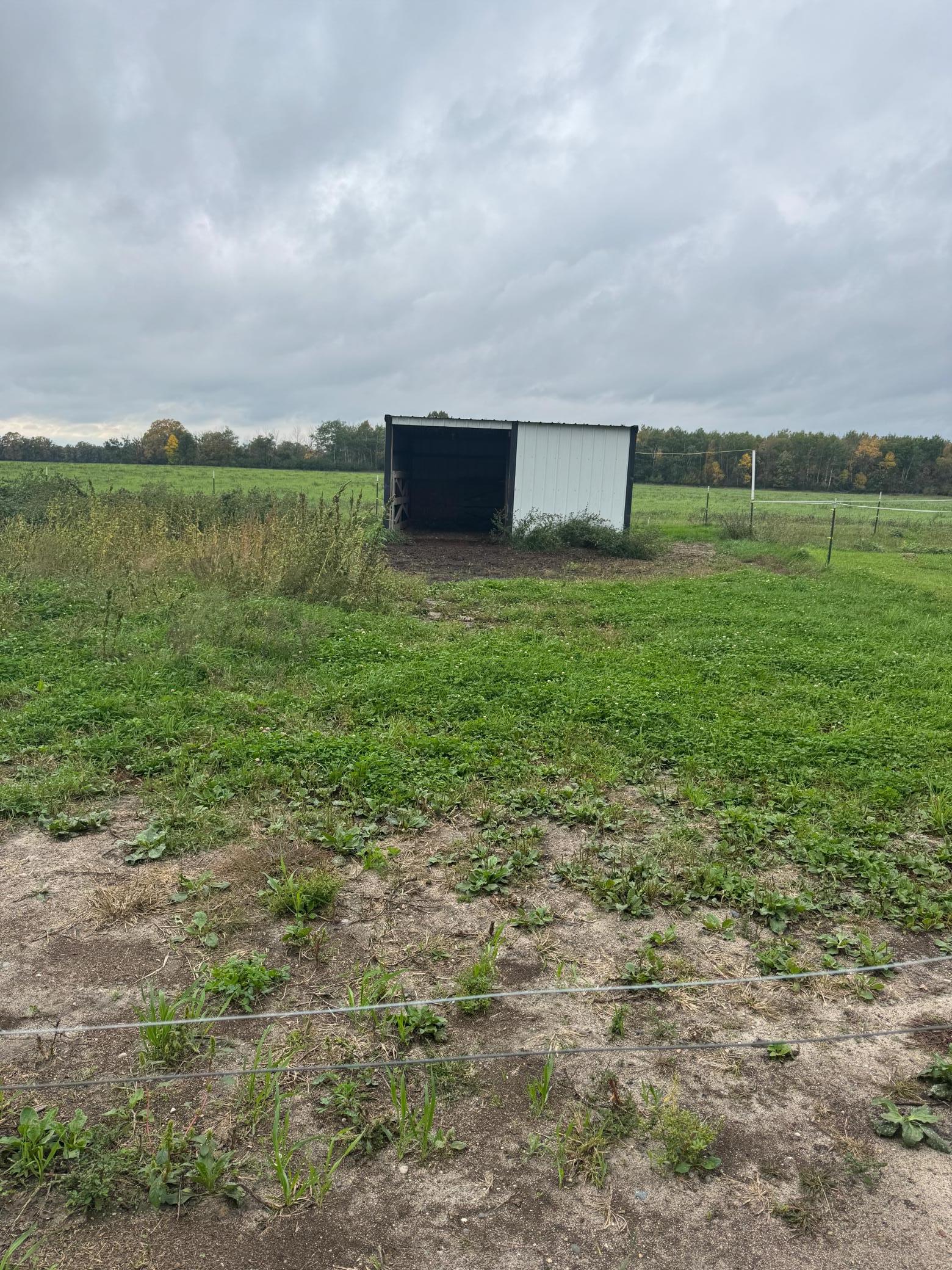 26579 Us Highway 71 Property Photo 35