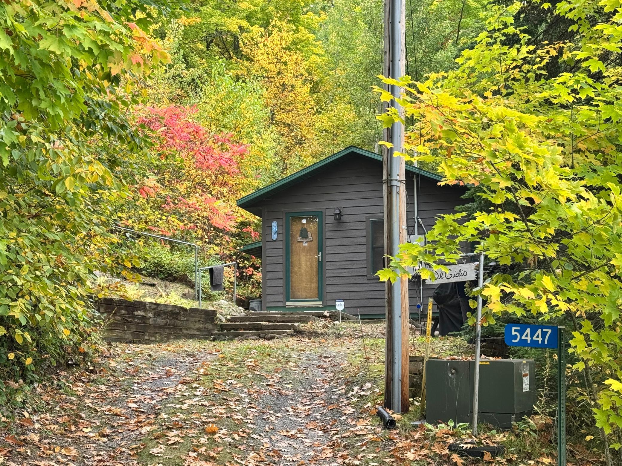 5447 Forest Ridge Road Property Photo 16