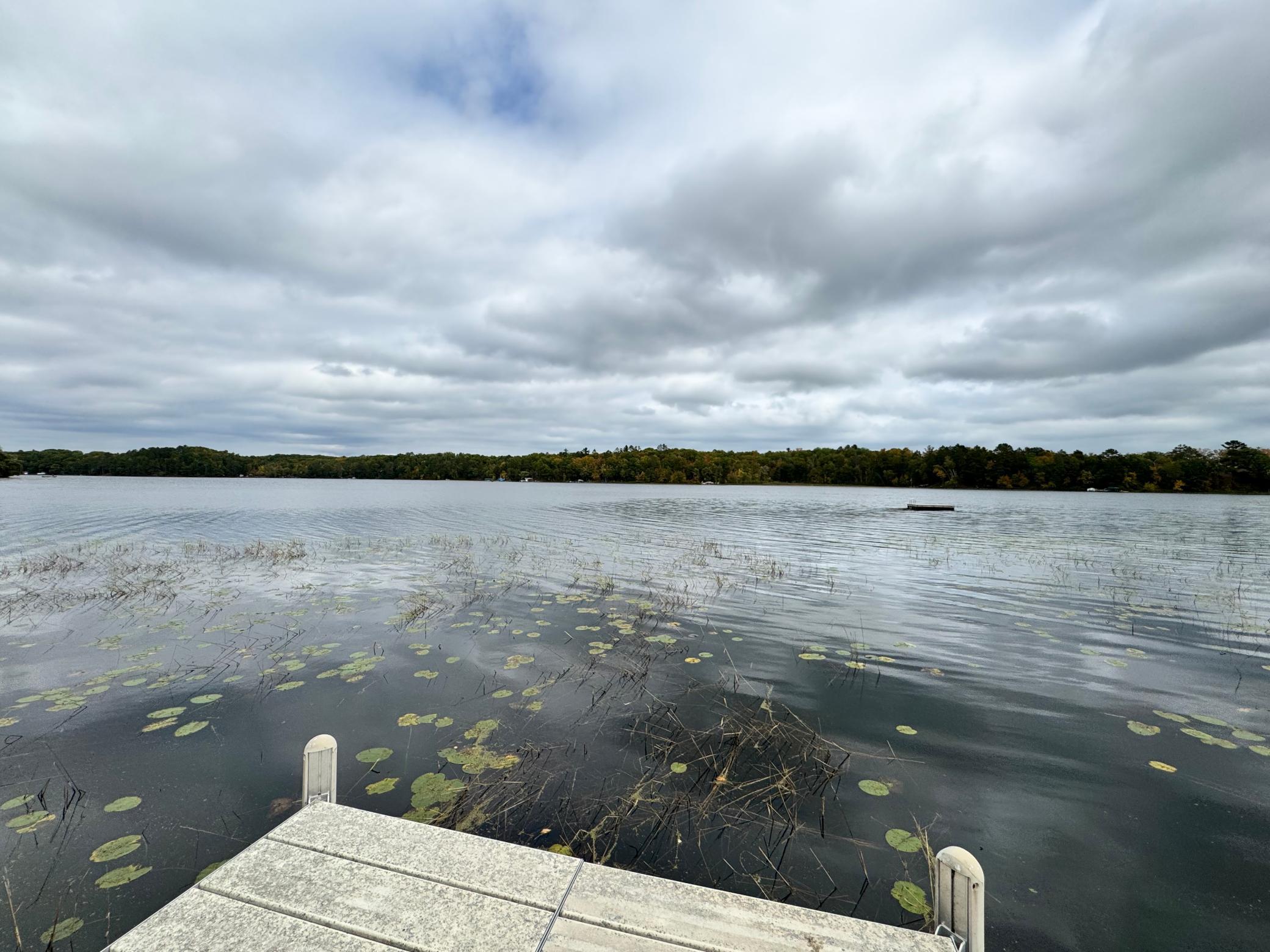 5447 Forest Ridge Road Property Photo 21