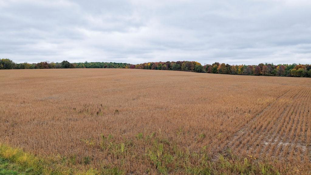 Tbd County Line Ave. Property Photo 10
