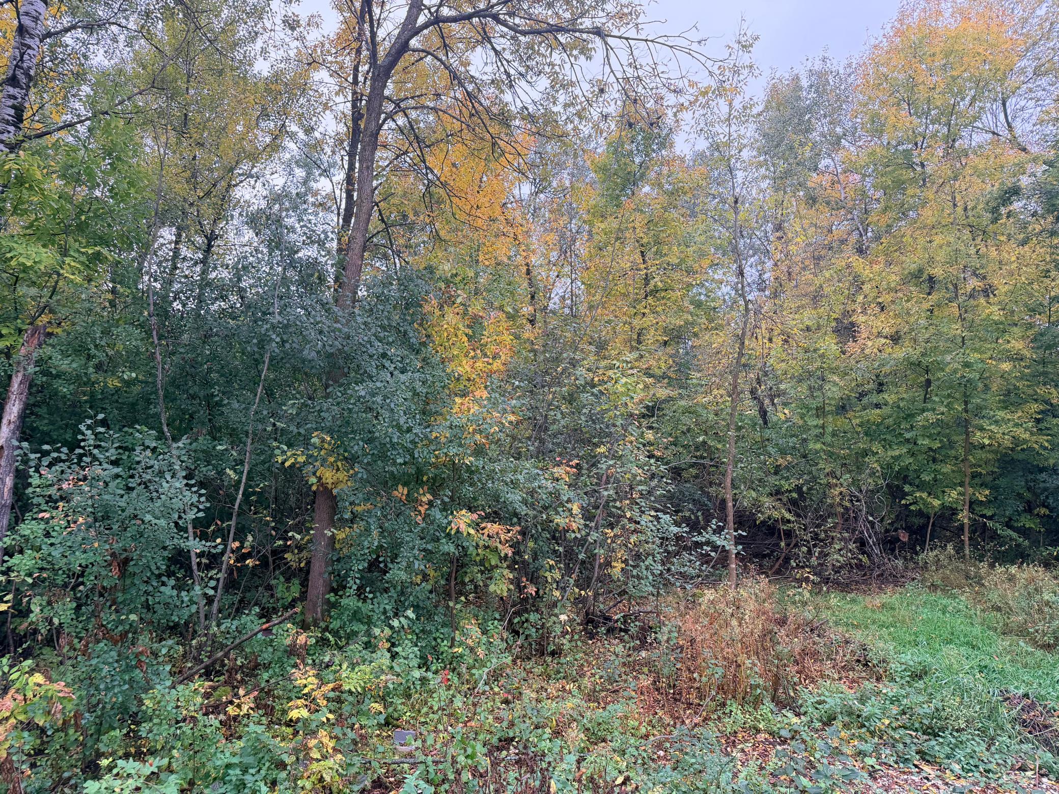 110 28th Street E Property Photo 13