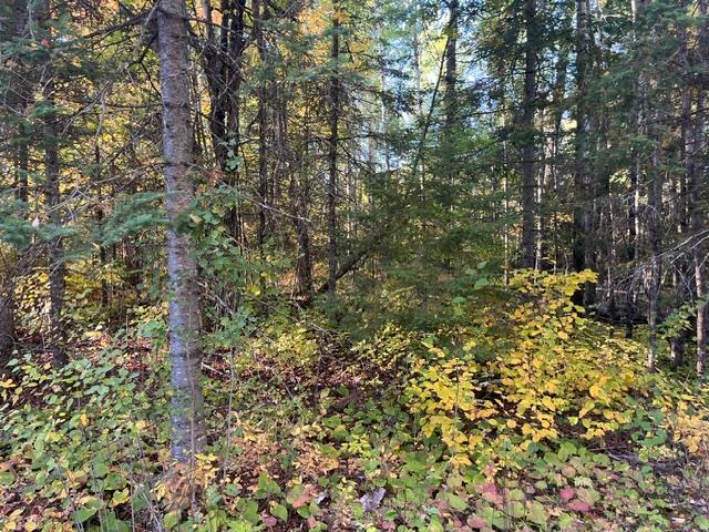 Tbd Lost Lake Rd. Property Photo 2