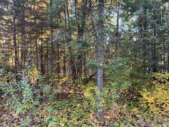 Tbd Lost Lake Rd. Property Photo 3