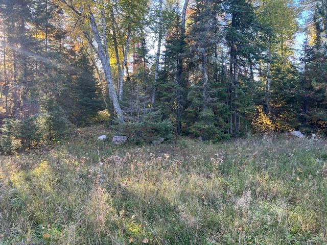 Tbd Lost Lake Rd. Property Photo 7